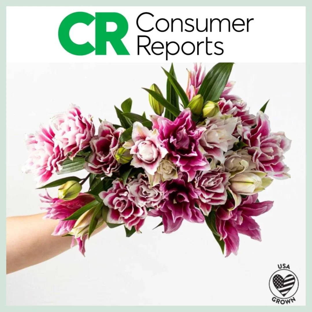 Farmgirl Flowers WOW’s Recipients – Consumer Reports