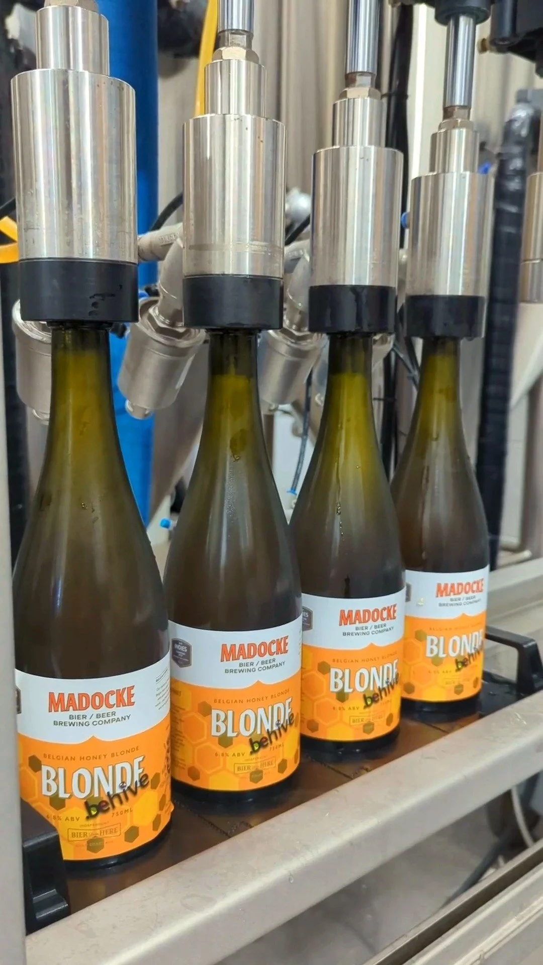 Madocke Beer Brewing Company