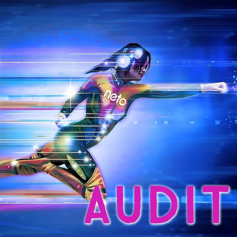 NETOSITEAUDIT.jpg