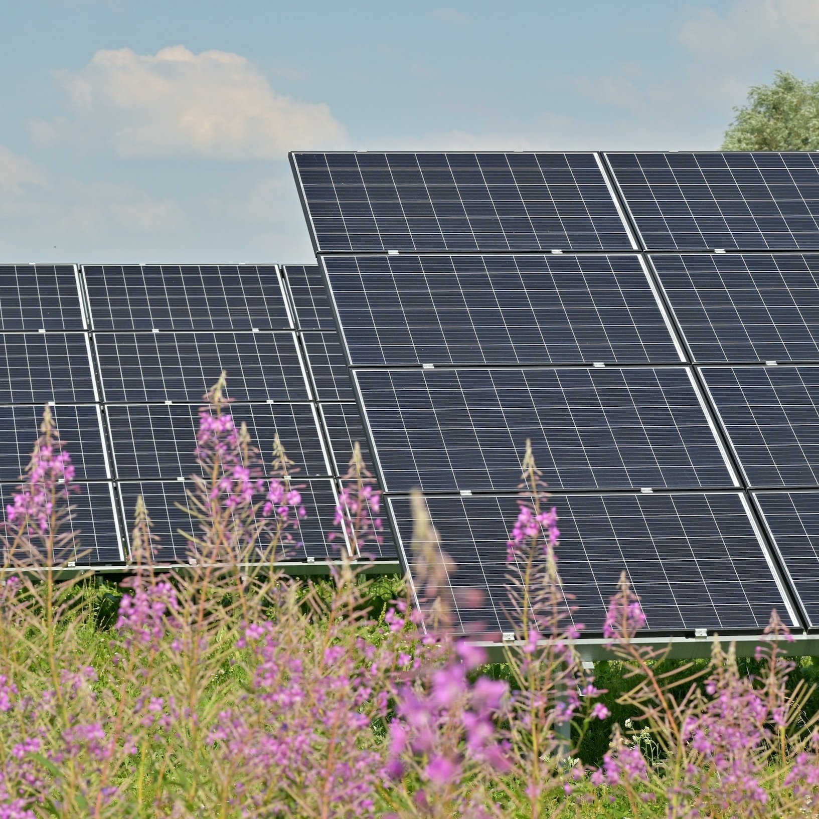 Solmar Consulting och Korkia planerar ett solenergiprojekt i Savitaipale - ortens skogsvårdsförening har också deltagit i förberedelserna