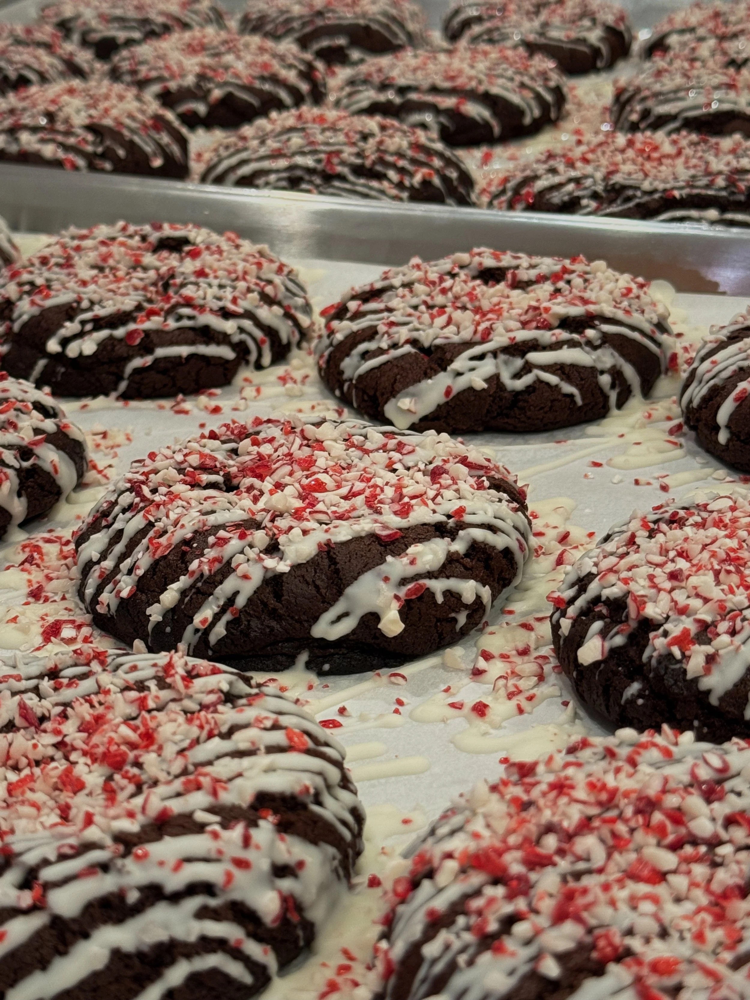 Choc peppermint cookies square.JPG