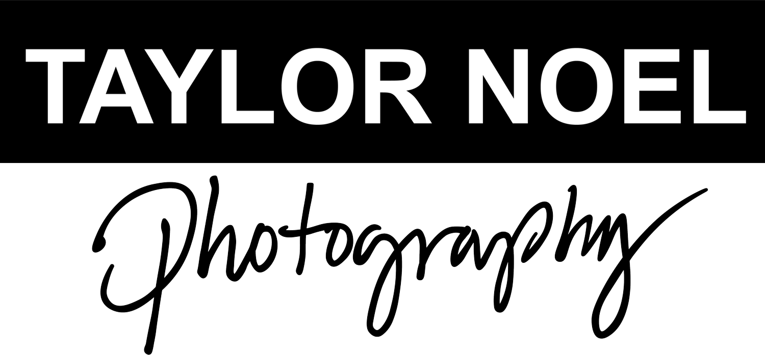 TaylorNoelPhotography