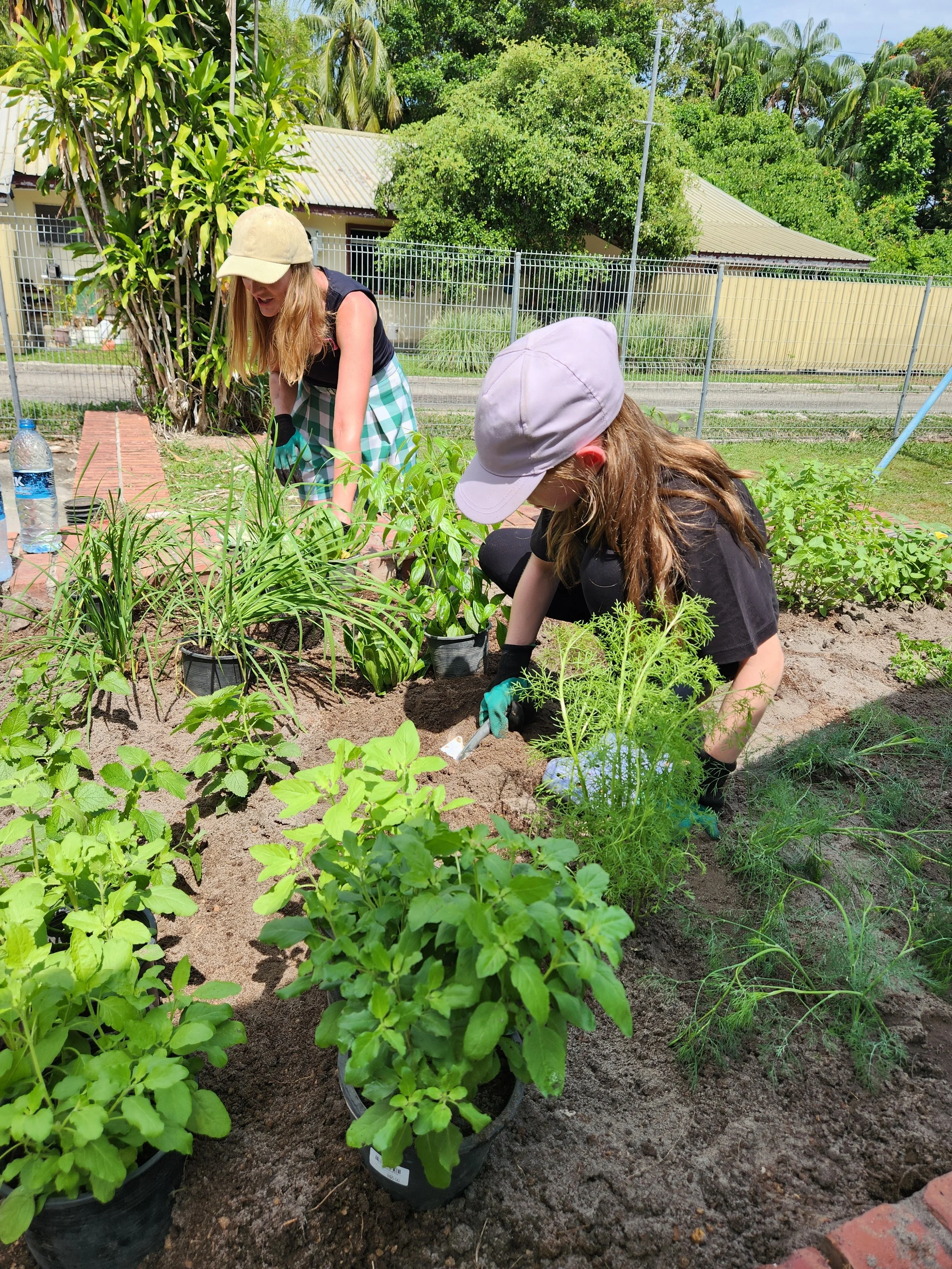 Summer Arts Gardening
