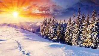 Winter Function