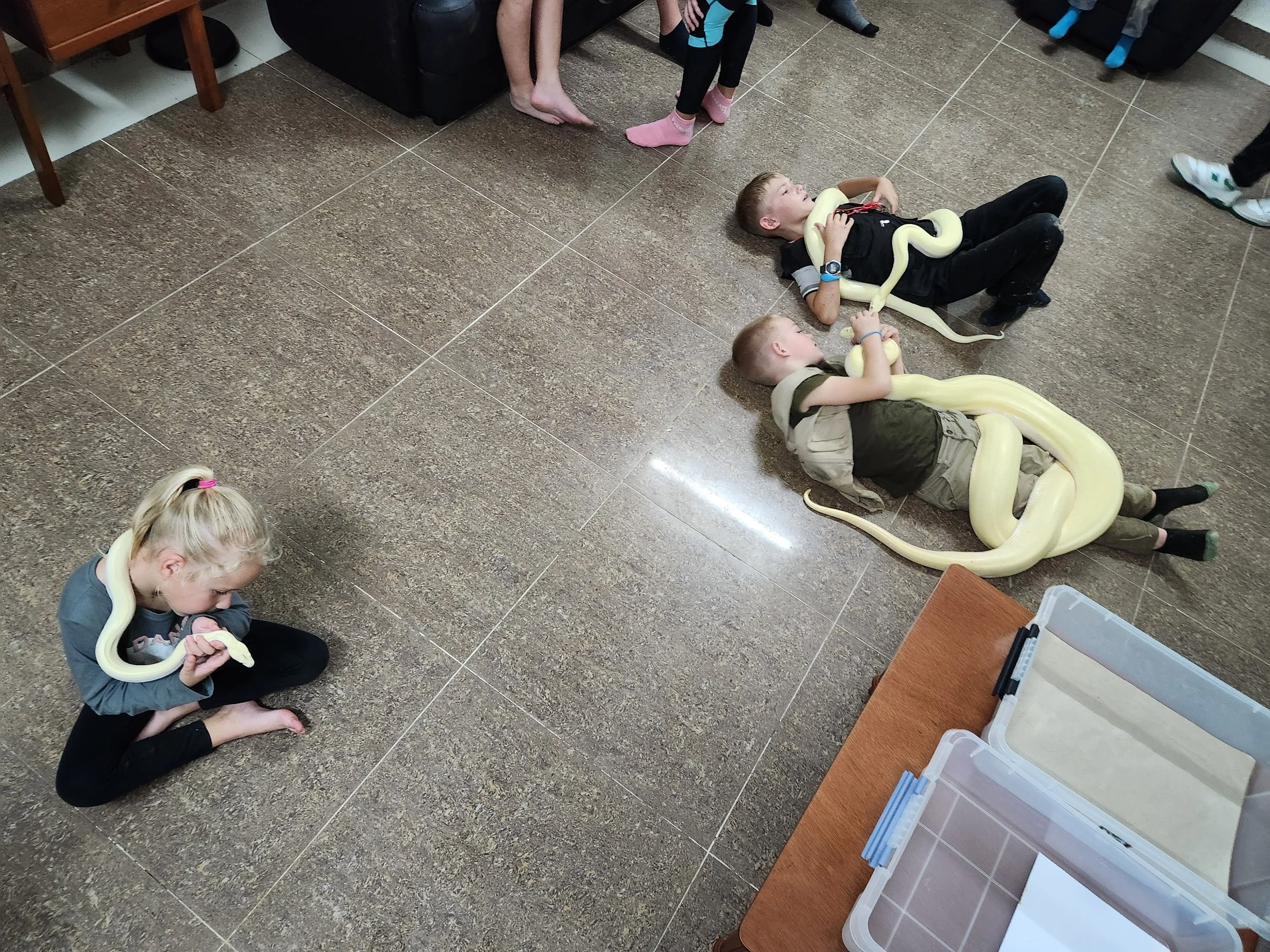 20240622_175817.jpg