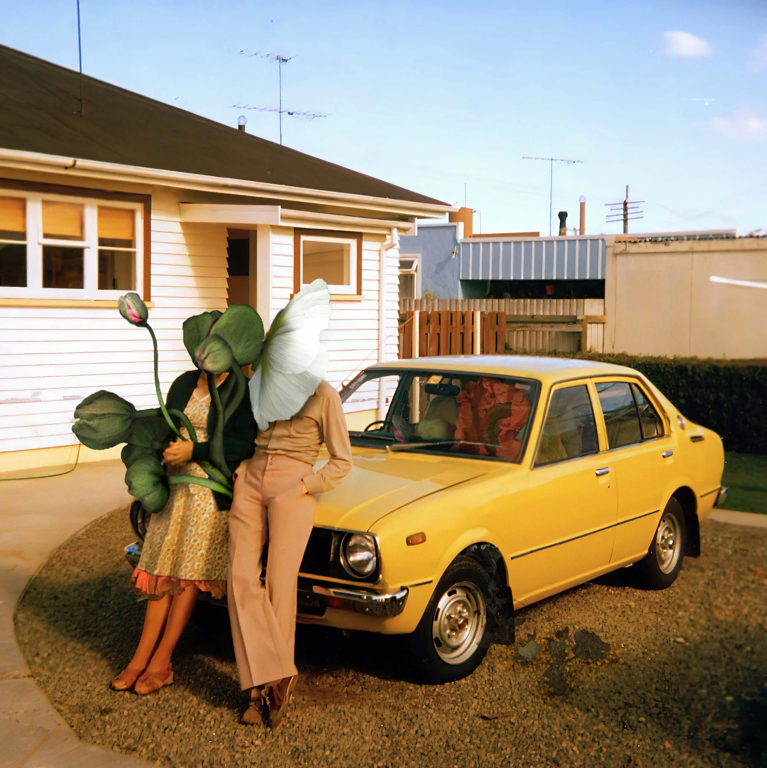 New Car, 2025 from the series Ascending Islands C-Type (Melbourne)