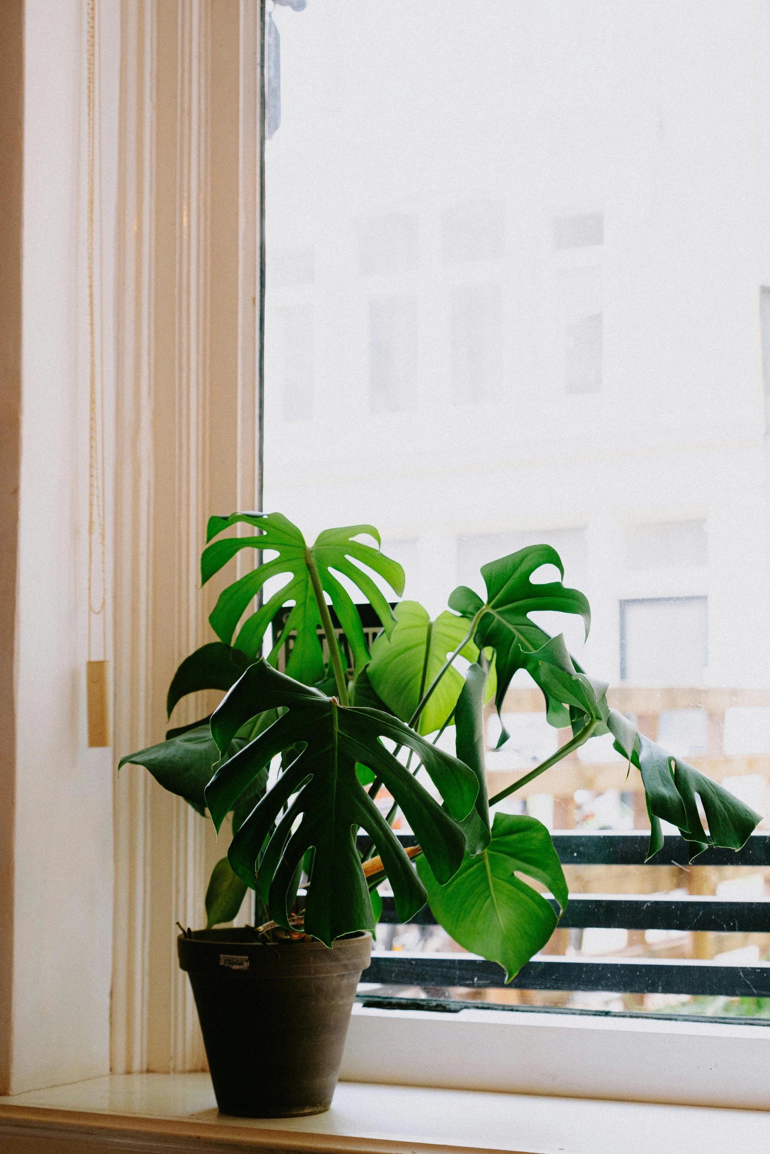 Overcoming the Fear of Failure: Why It’s Time to Let Go and Move Forward