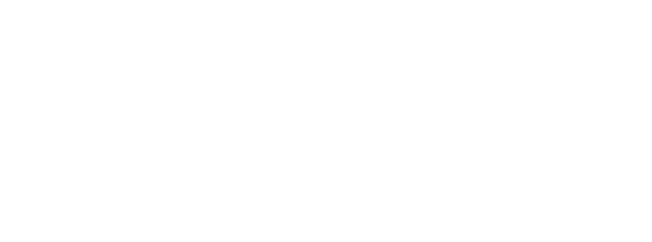 Ekspress grupp