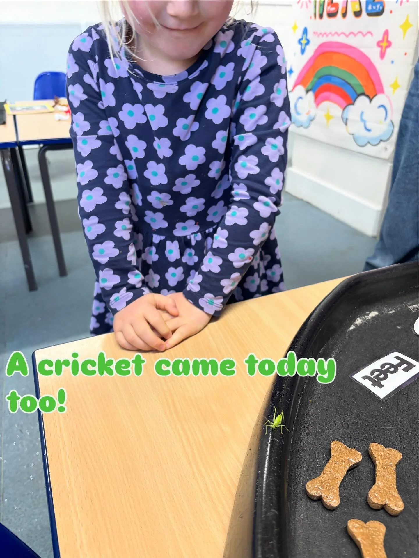 A cricket also came today as he didn’t want to miss out.