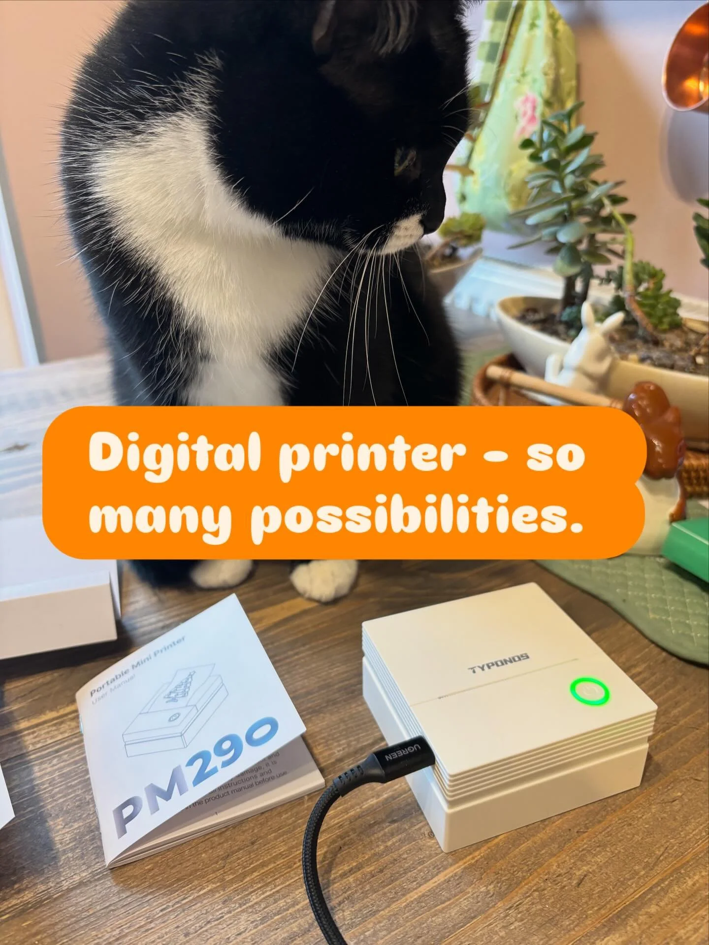 Loving my new toy a digital printer onto sticker paper. There are so many possibilities&hellip;
Now and Next Boards, symbols in story books, labelling, picture timetables, social stories #asd #adhd #communication #makaton #sendsupport