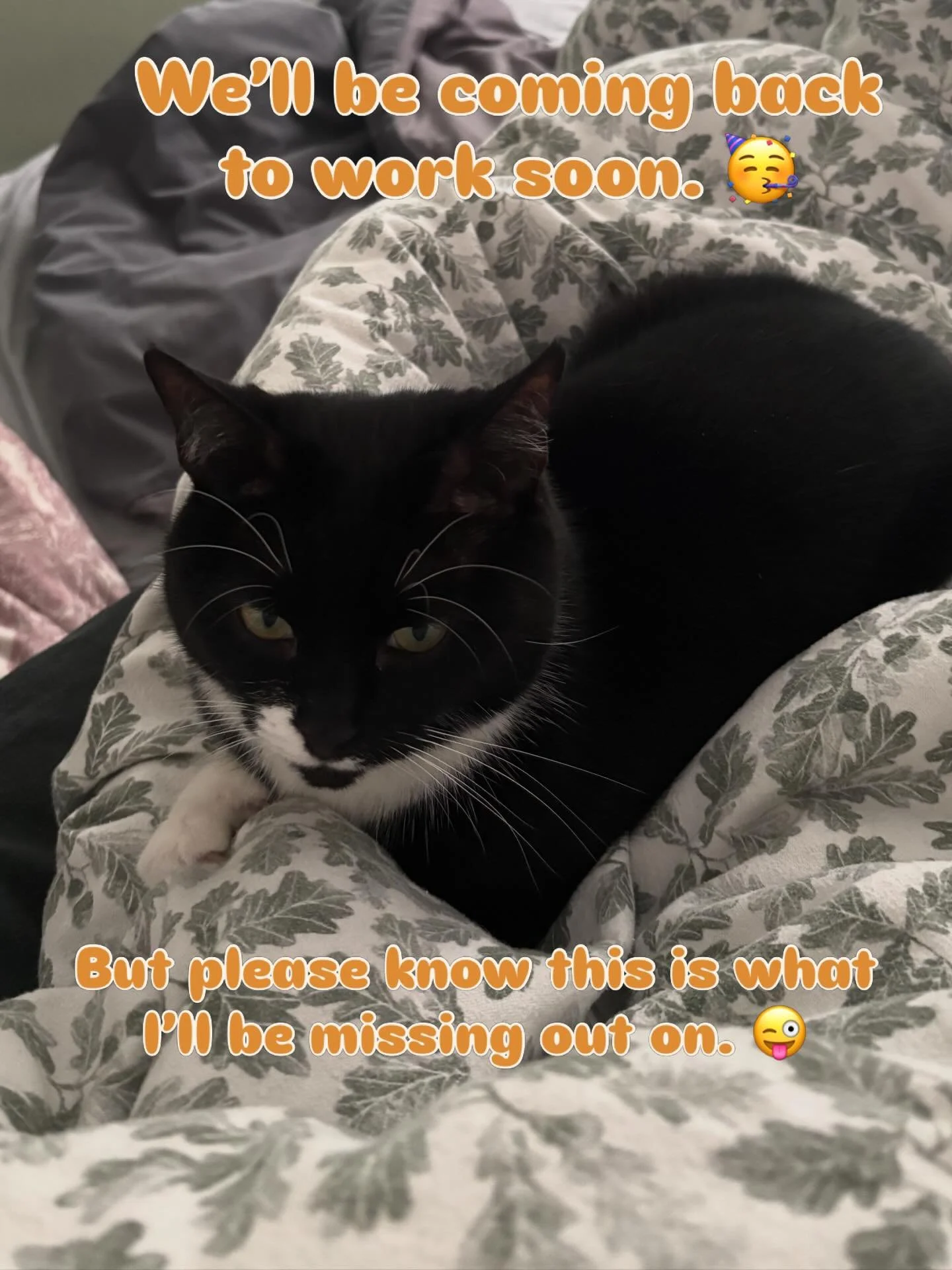 I love my job! But I also love holidays where you have the odd moment to snuggle with your cat. Hope your holidays are going as well as can be. Don&rsquo;t worry my holiday isn&rsquo;t all cat snuggles. We&rsquo;ve had normal life too!!! #holiday #ca