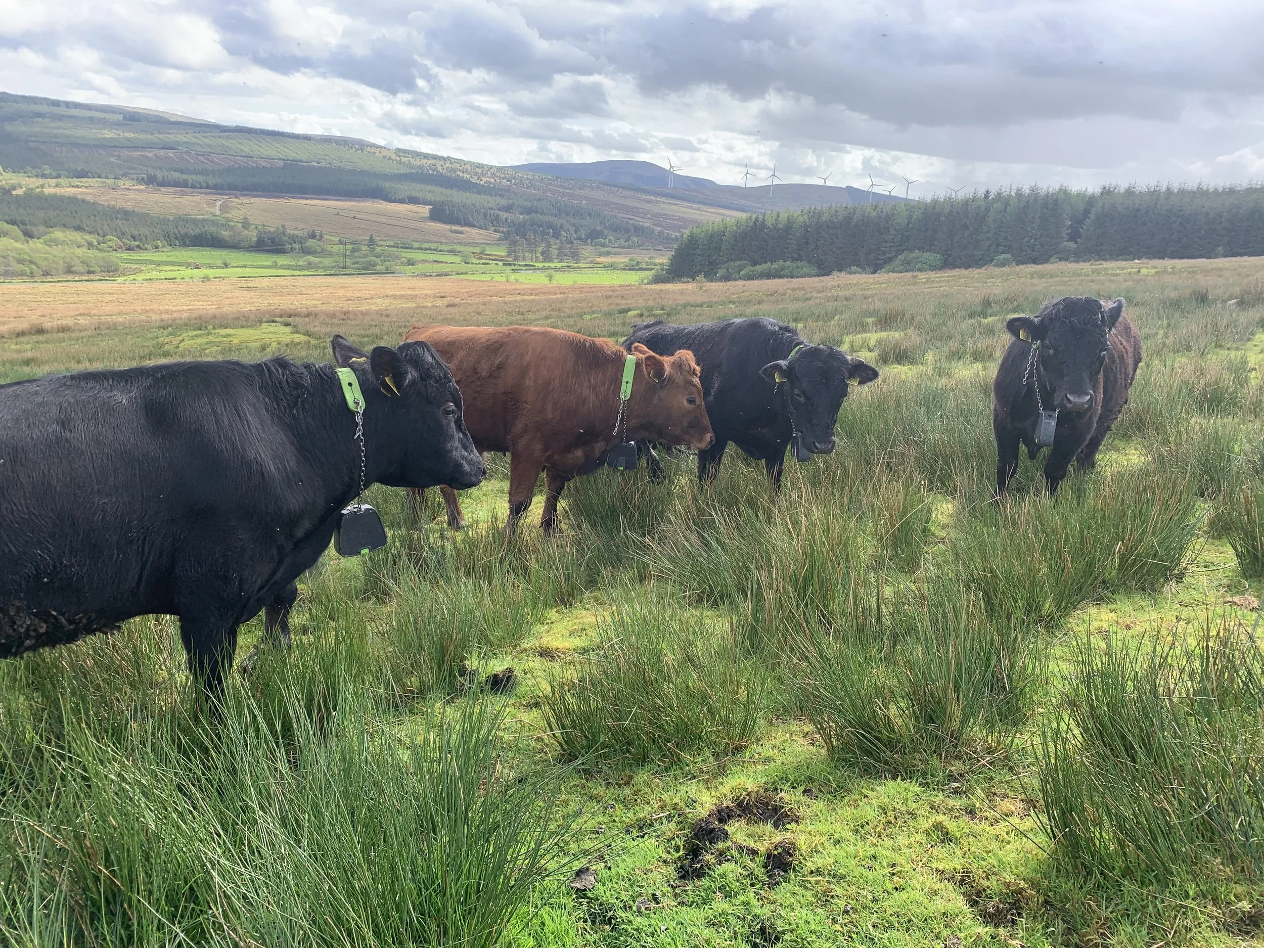 Minister Heydon announces nearly €147 million in payments to almost 34,000 ACRES farmers