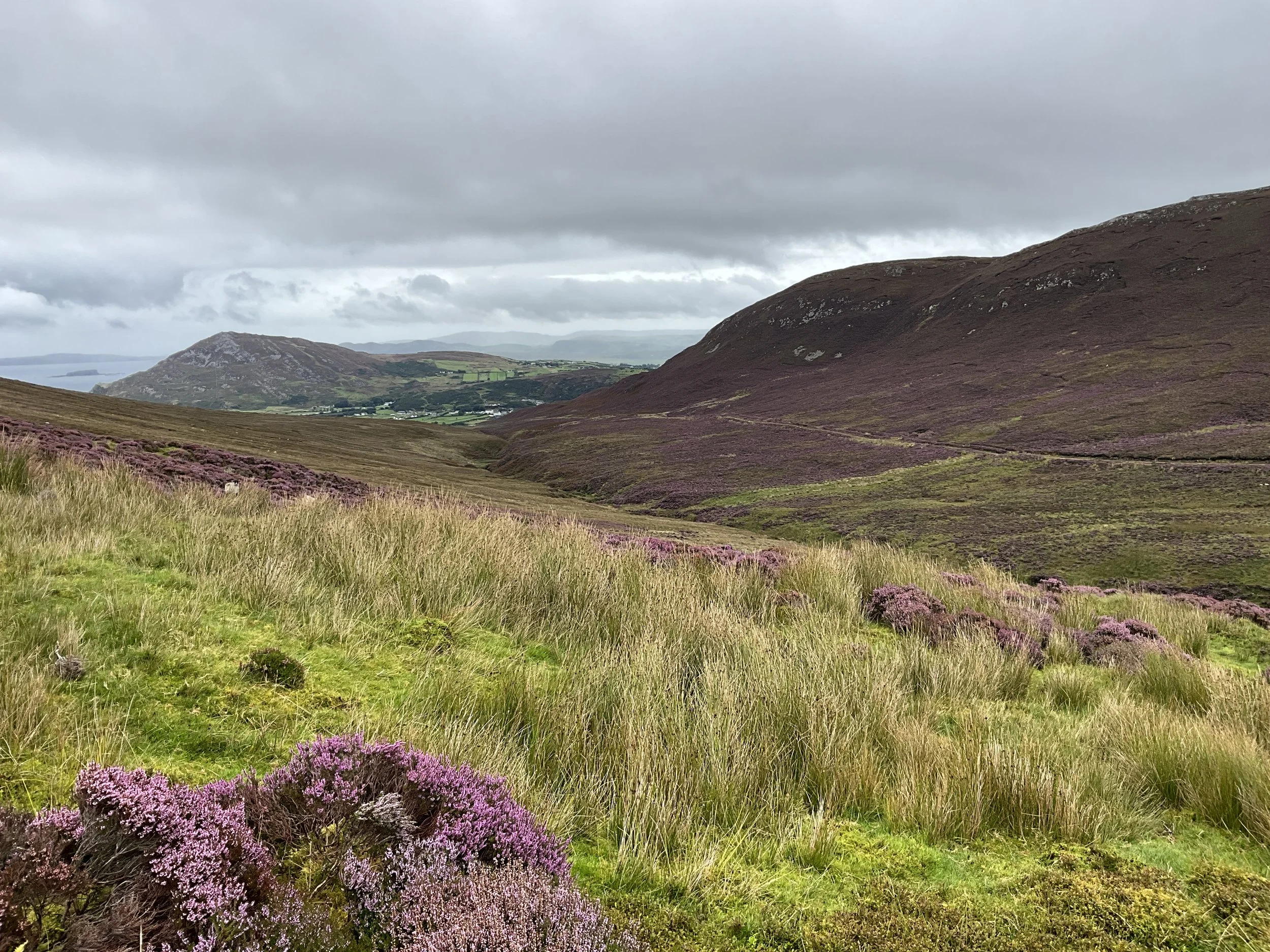 Update for participants in the Agri-Climate Rural Environment Scheme (ACRES)