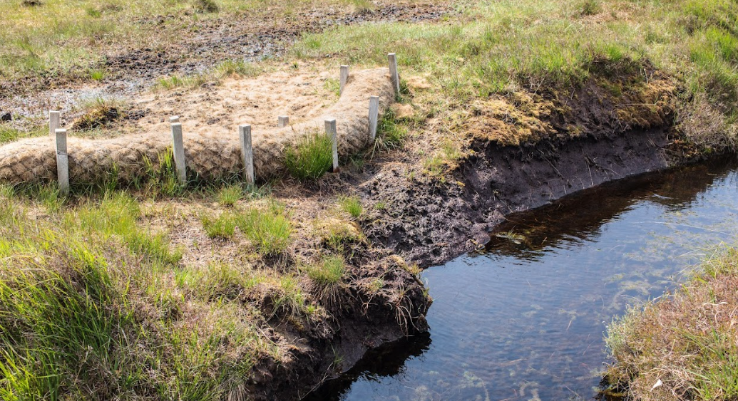 Second application window for ACRES Landscape Actions opens 11th February 2025