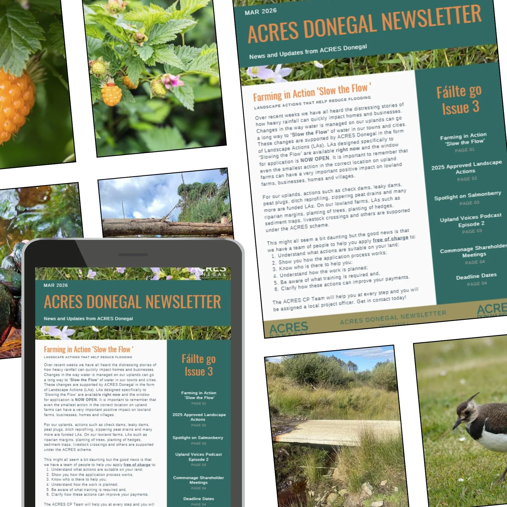 Issue 3 of ACRES Donegal newsletter out now