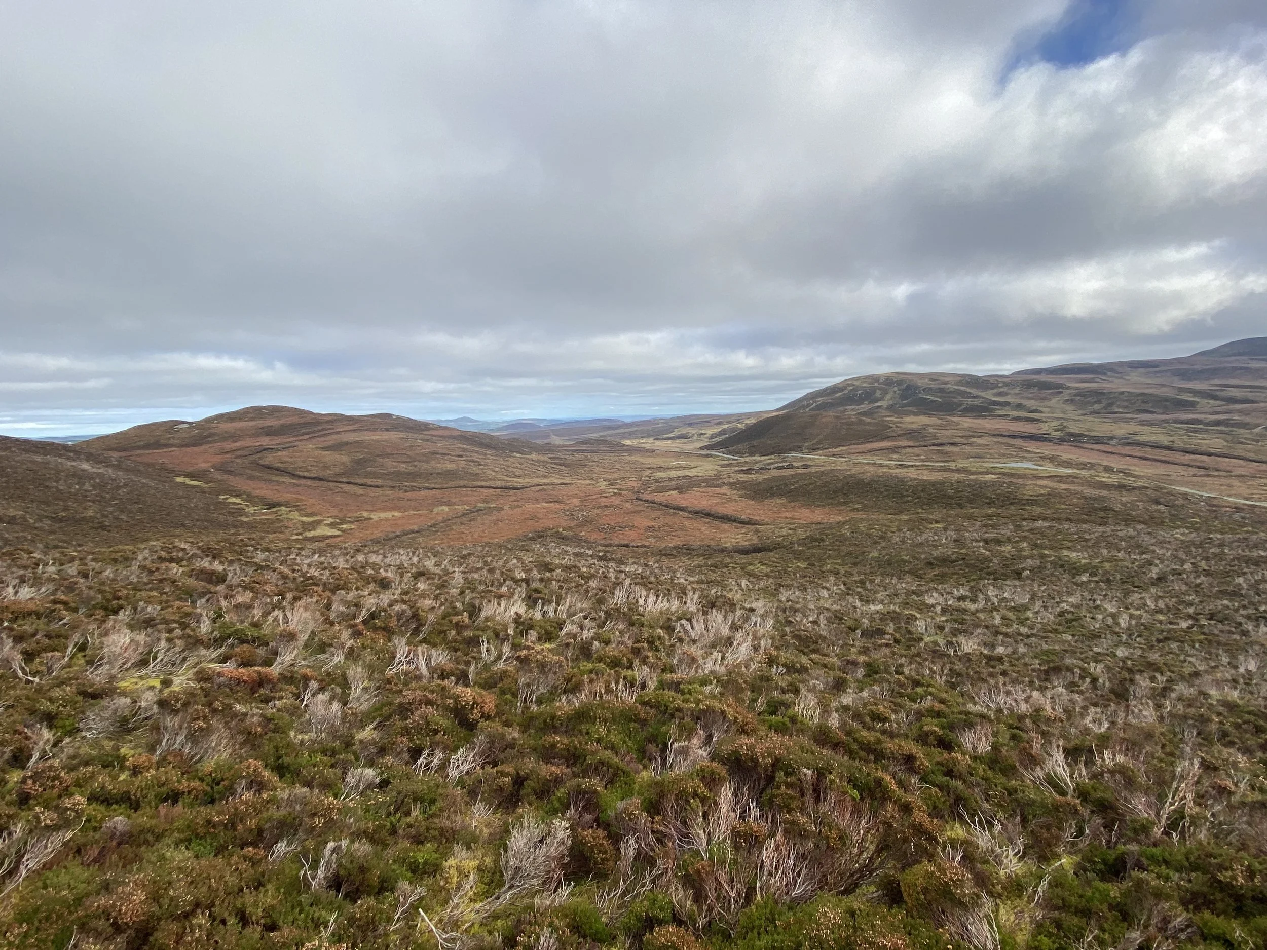 Update for Participants on Both Approaches of the Agri-Climate Rural Environment Scheme (ACRES).