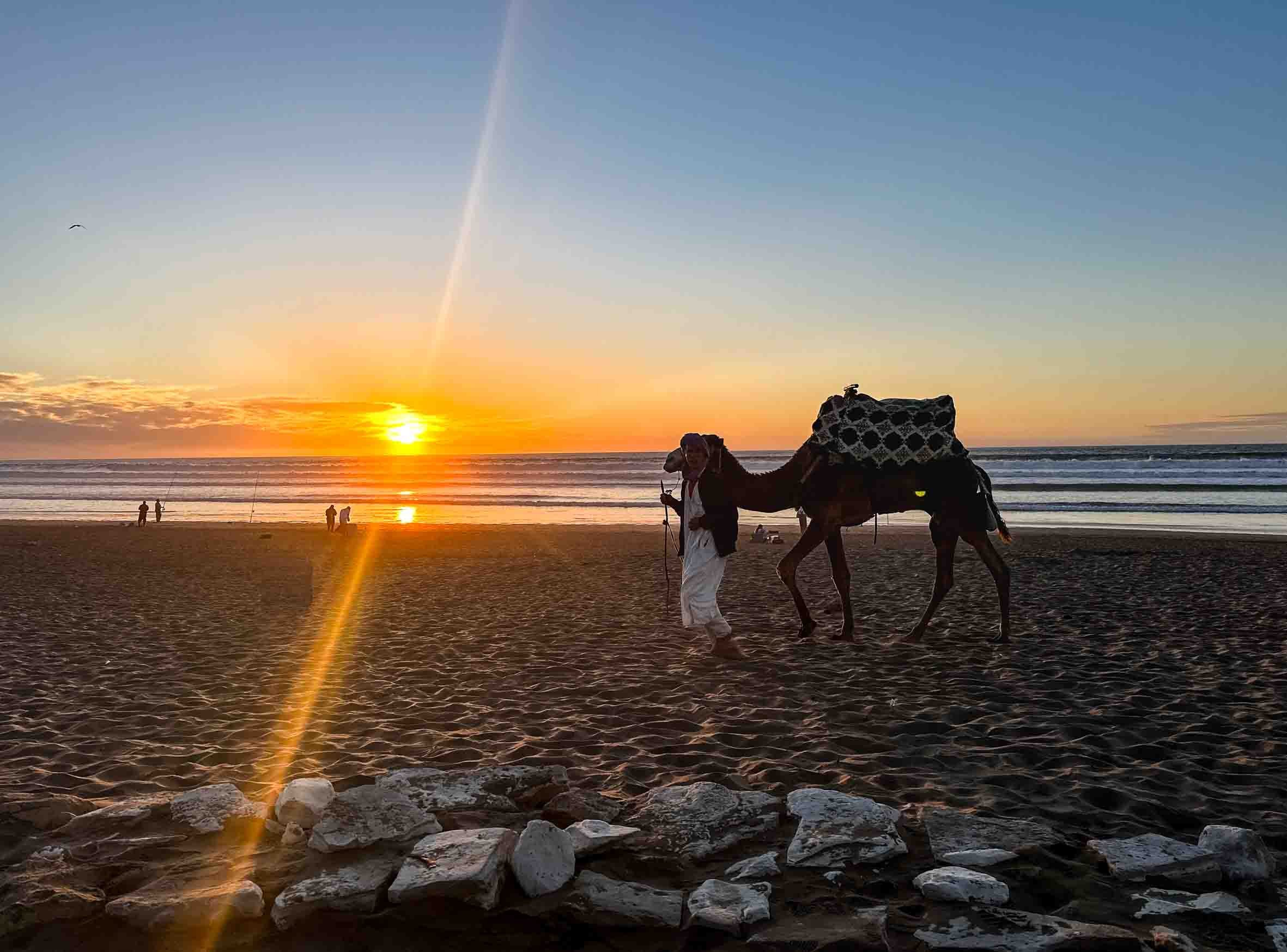 A person leading a camel on a beach during sunset, with the sky in shades of orange and blue and a few people in the background.