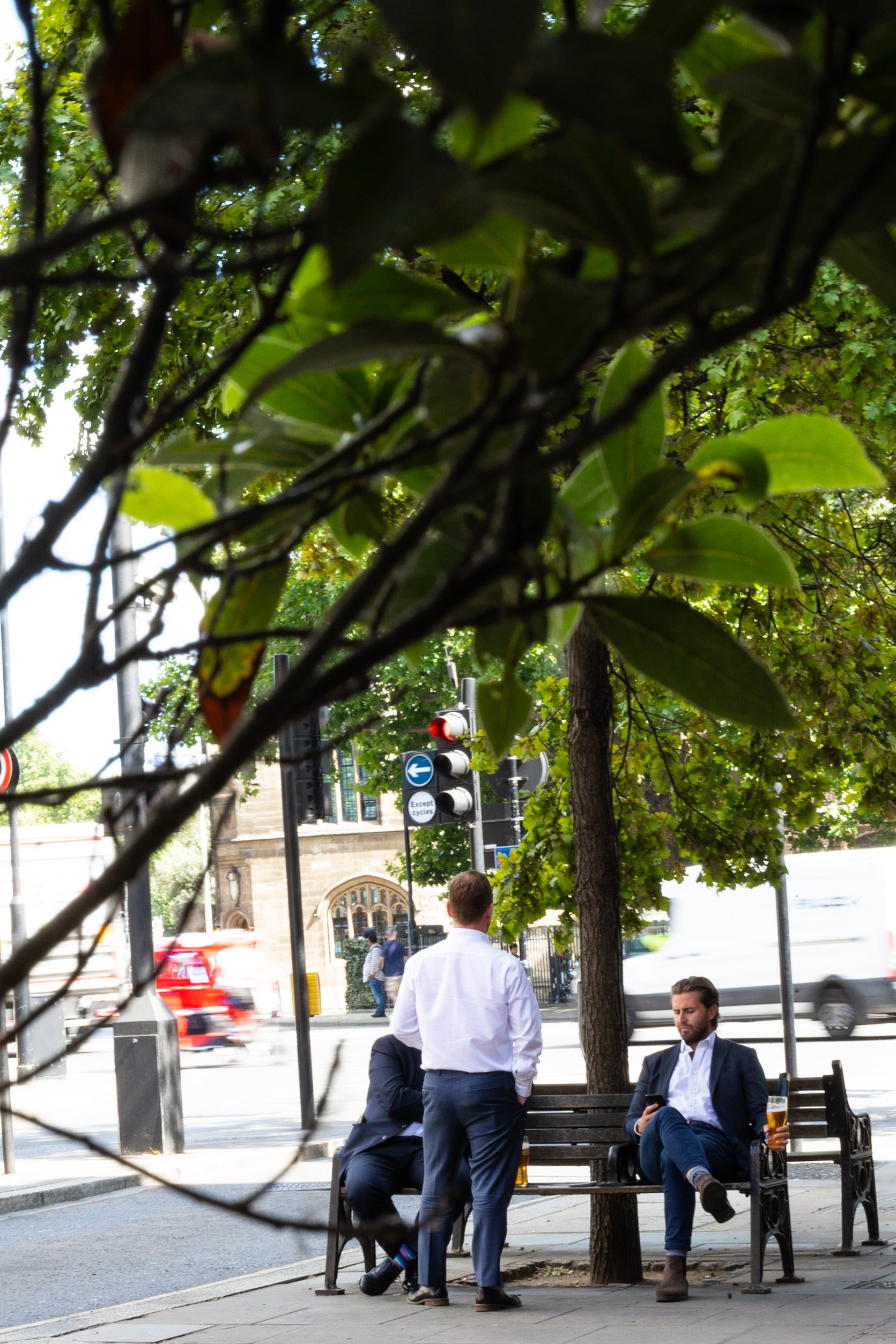 Three men are gathered on a sidewalk bench under the shade of leafy trees near a busy street with cars and a red traffic light visible. One man is standing in front of two seated men, one holding a drink.