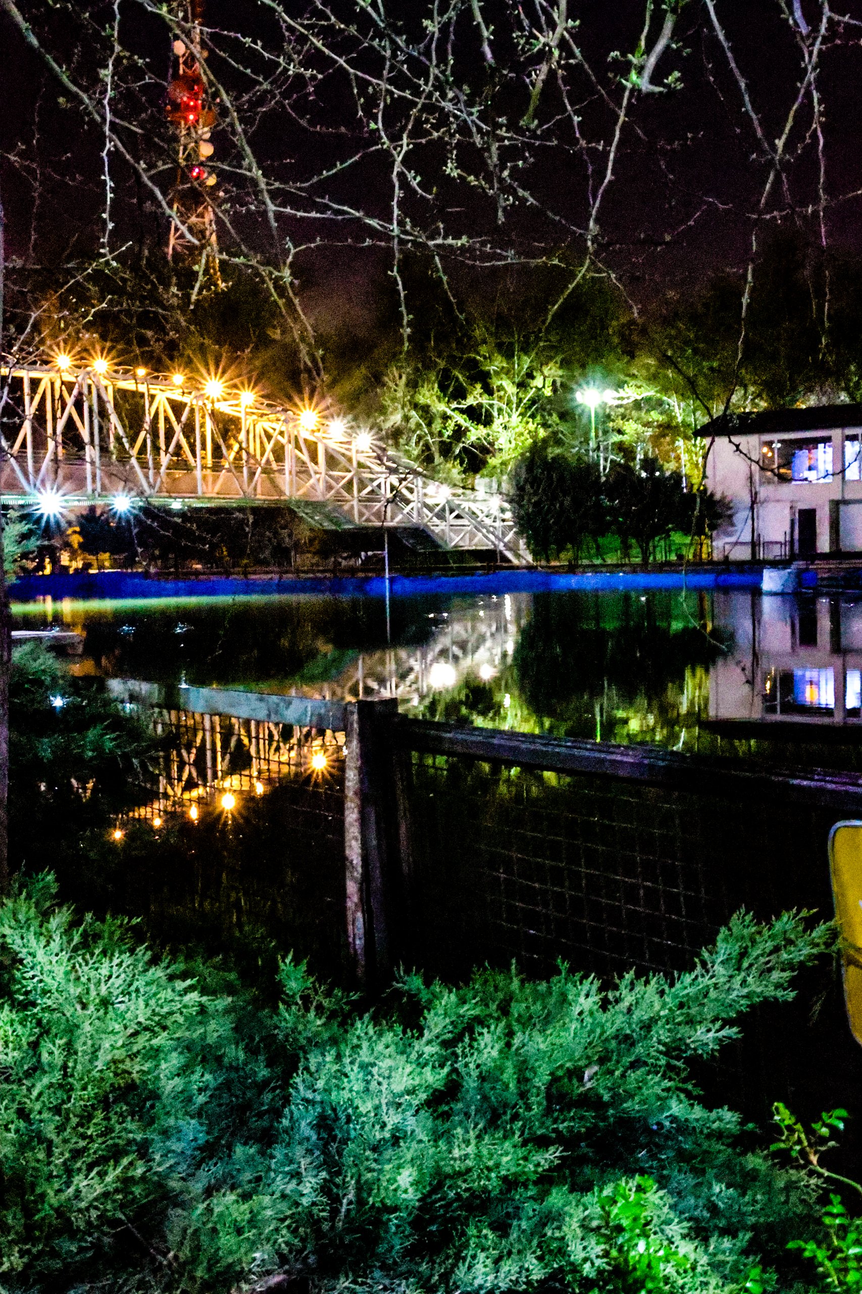 Nighttime scene of a park with a brightly lit footbridge over a reflective body of water, surrounded by trees and bushes.