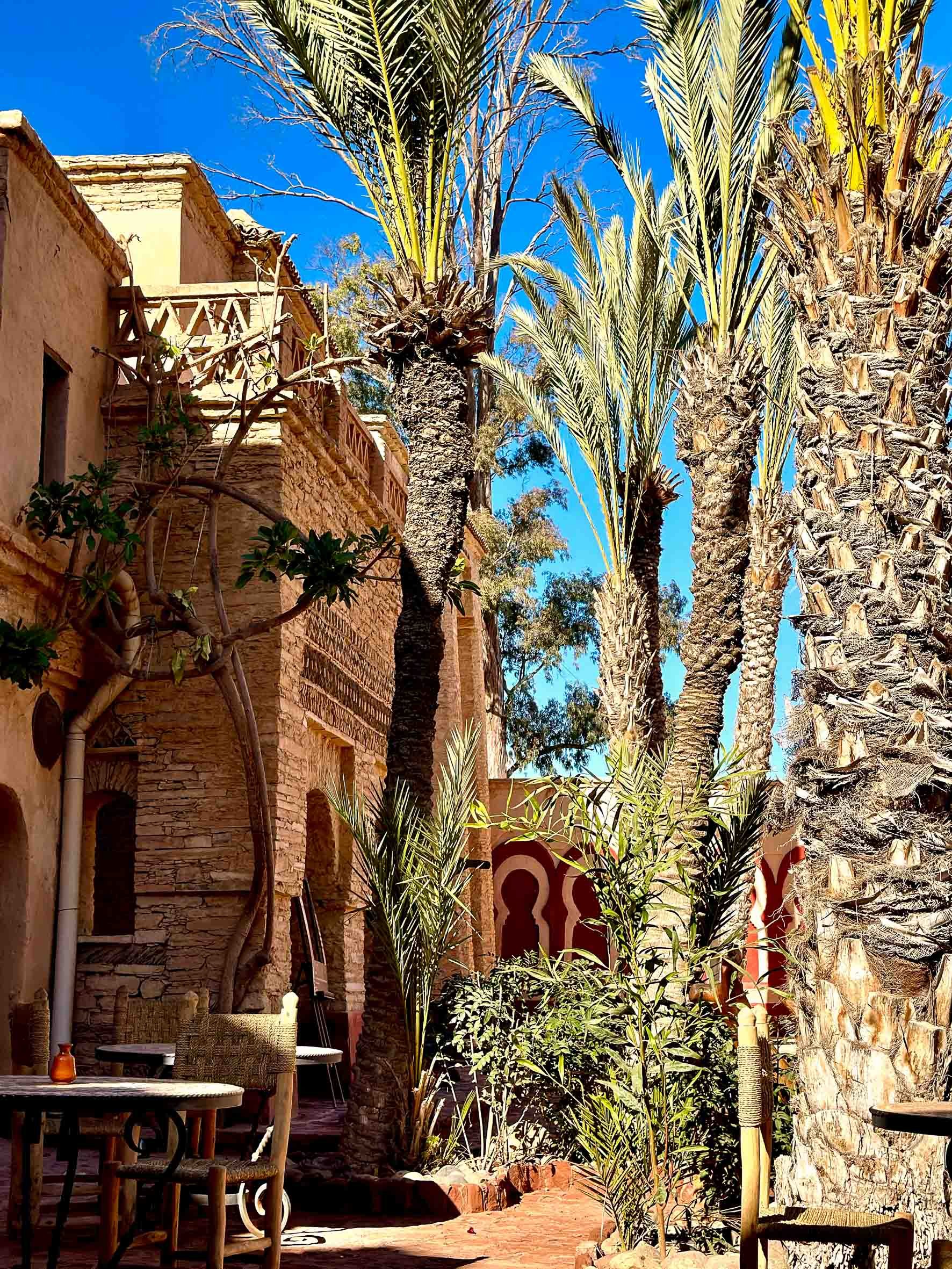 A courtyard with tall palm trees, a brick building with arches, outdoor chairs, and blue sky.