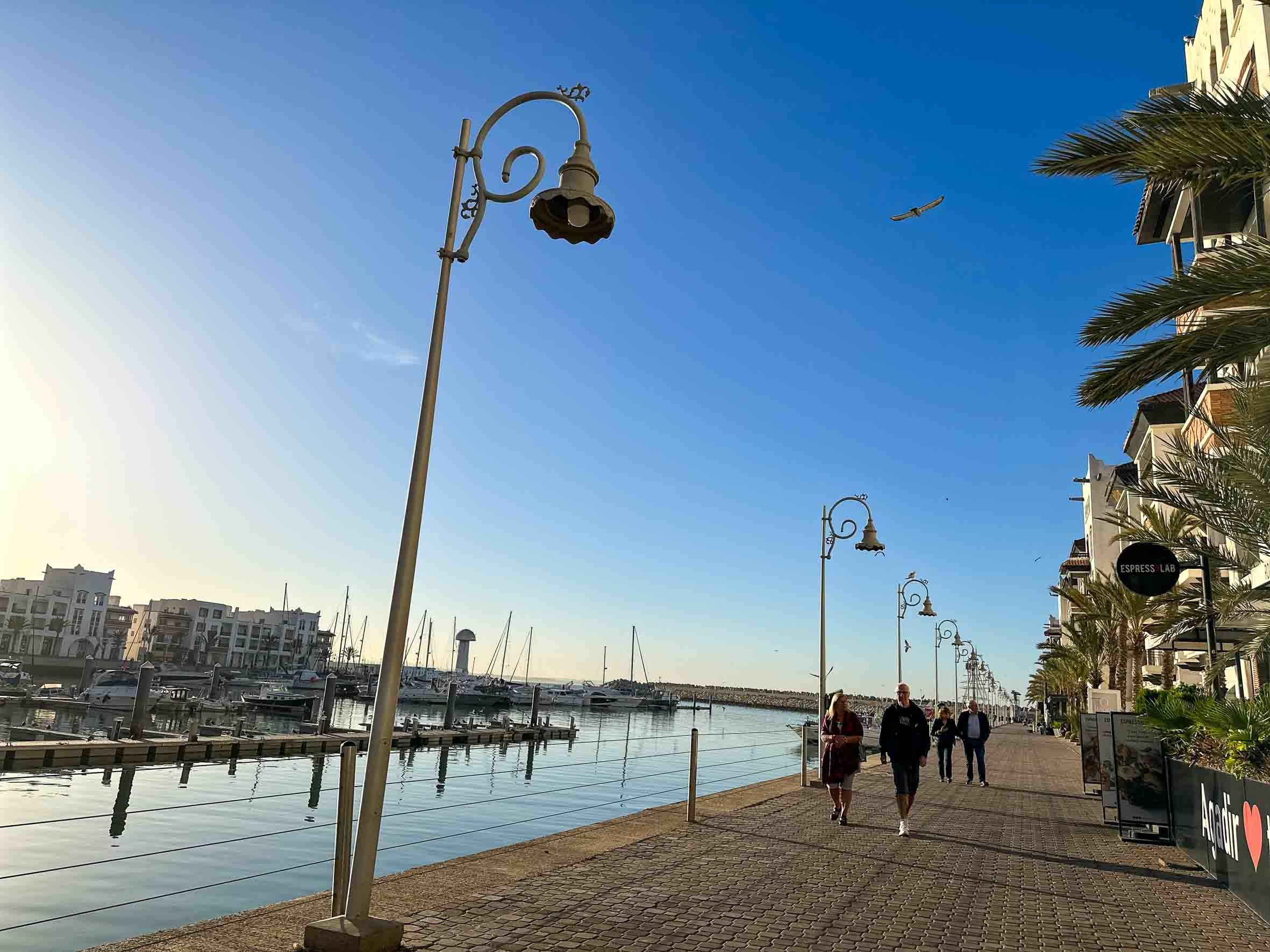 People walking along a marina promenade with boats docked on the water, lamp posts, palm trees, and modern buildings on the right side, under a clear blue sky with seagulls flying.
