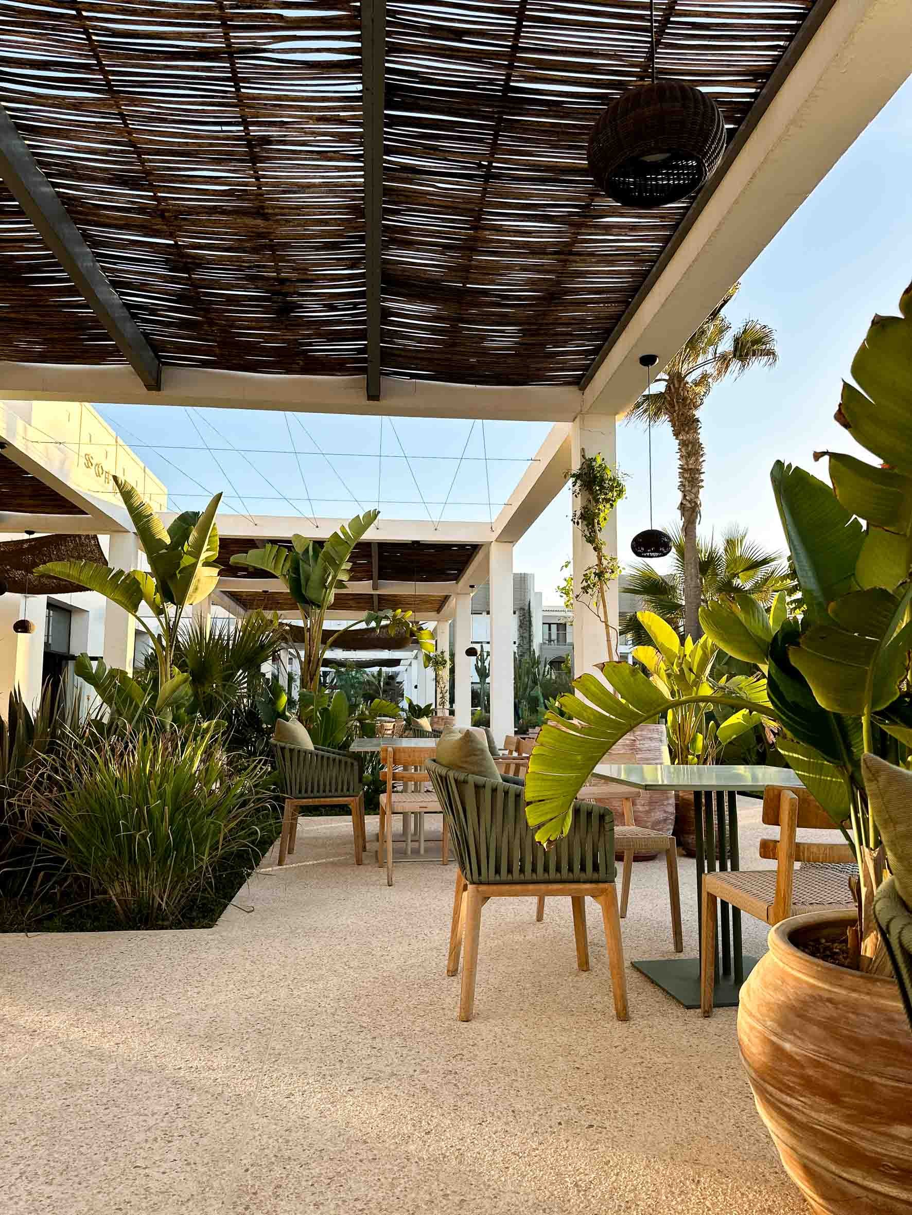 Outdoor patio with wooden chairs, green plants, and a shade structure with a woven roof under a clear sky.