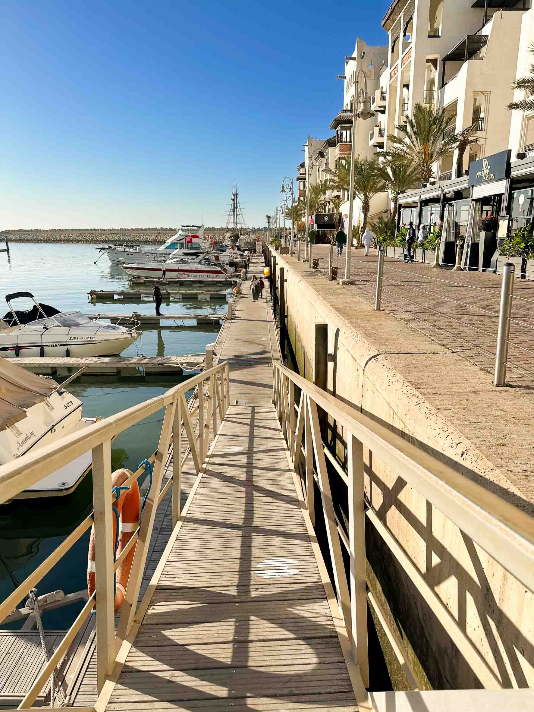 Marina with boats docked, walkway along the water, people walking, palm trees, and modern buildings on a sunny day.