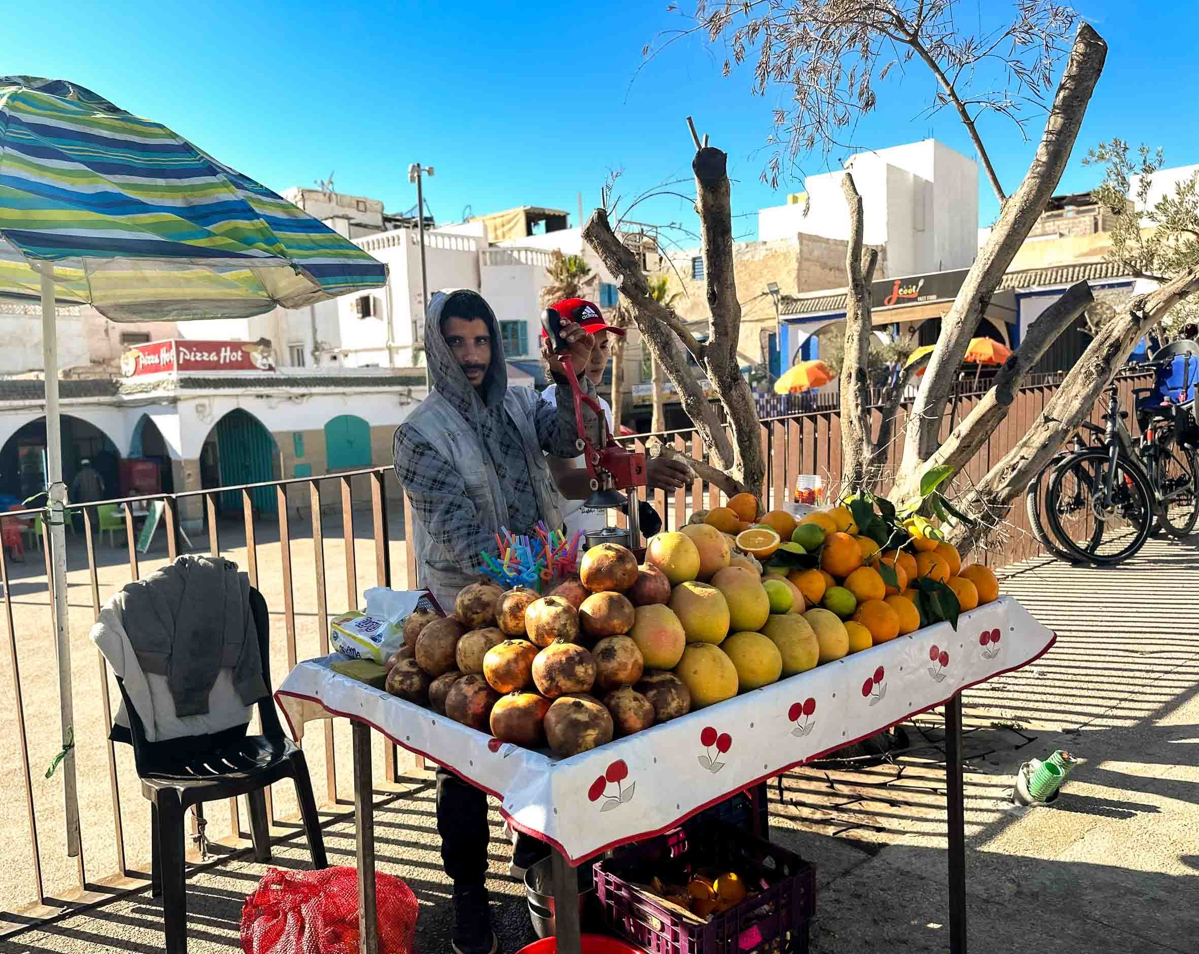 A street vendor selling pomegranates, oranges, and other fruits at a roadside stand with a tree and a bicycle in the background.