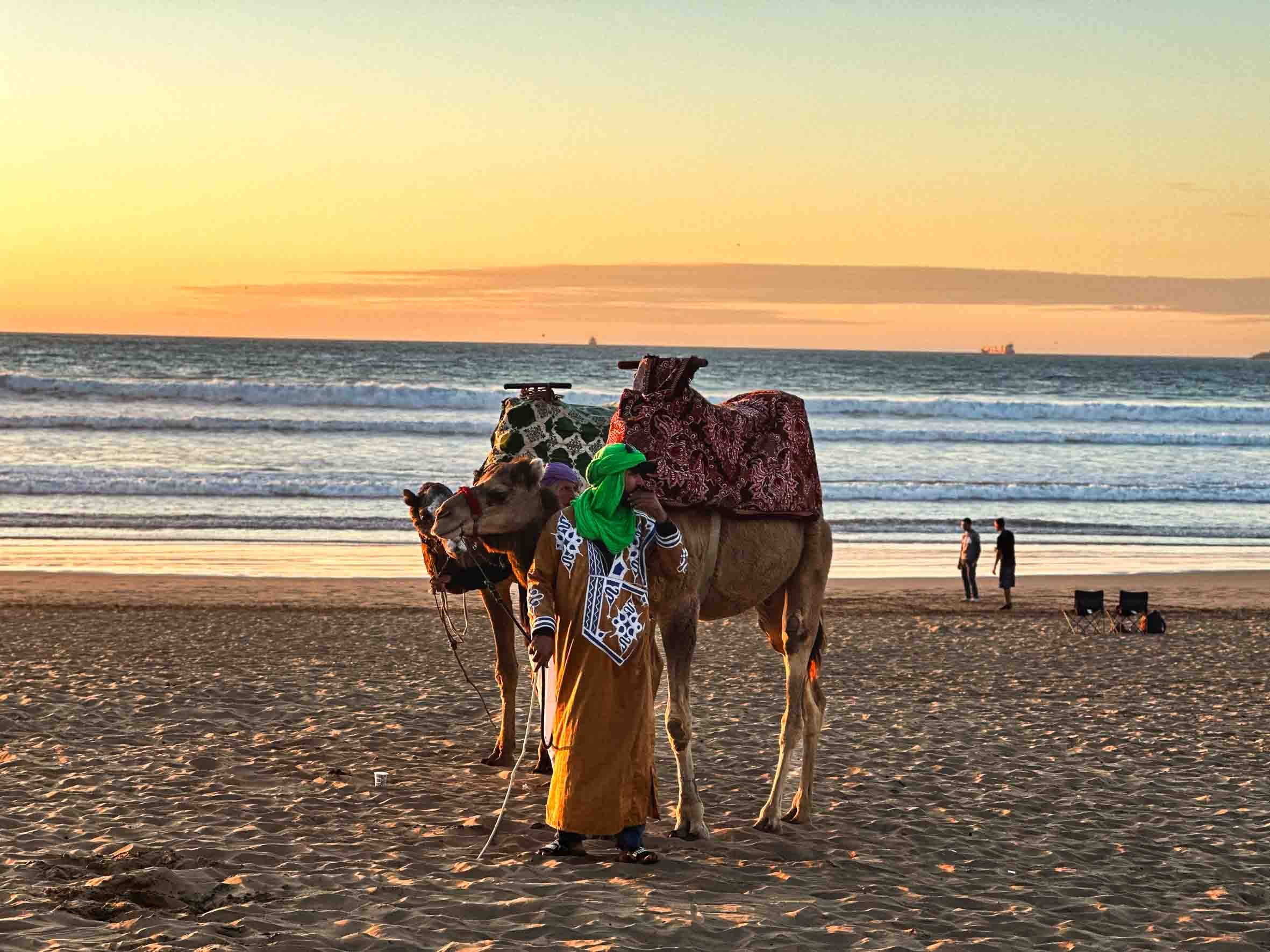 A person standing on the beach with a camel, during sunset, carrying loads on its back, with two people in the background near the water.