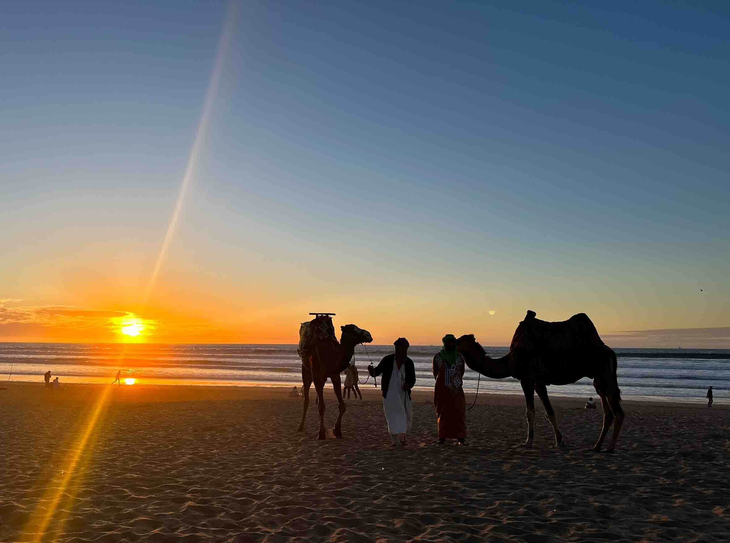 Silhouettes of two camels and two men walking on the beach during a sunset