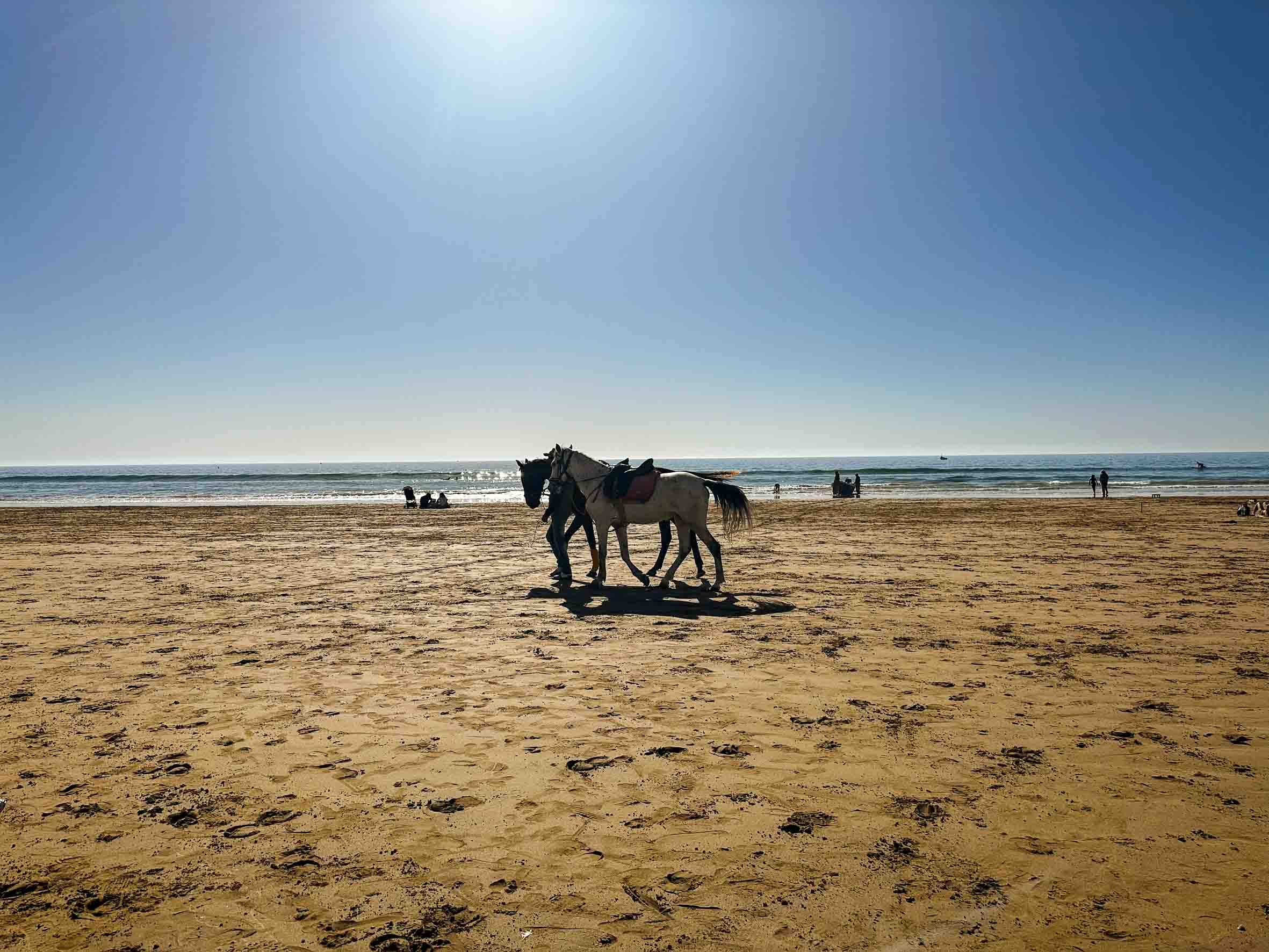 Two horses walking on the sandy beach near the ocean with people in the distance and the sun shining brightly in the clear sky.