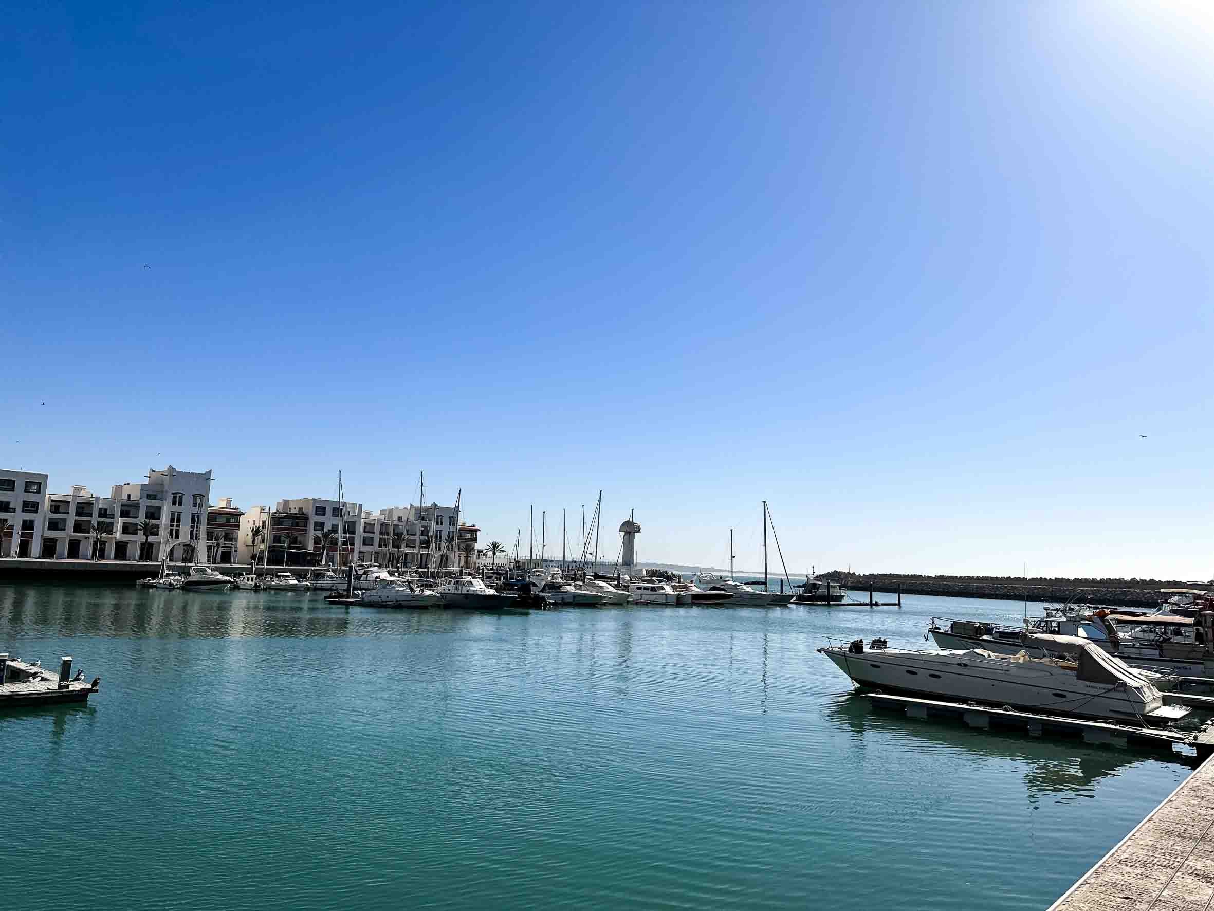 Marina with sailboats and yachts docked along a pier, modern buildings in the background, clear blue sky, bright sunlight reflecting off the water