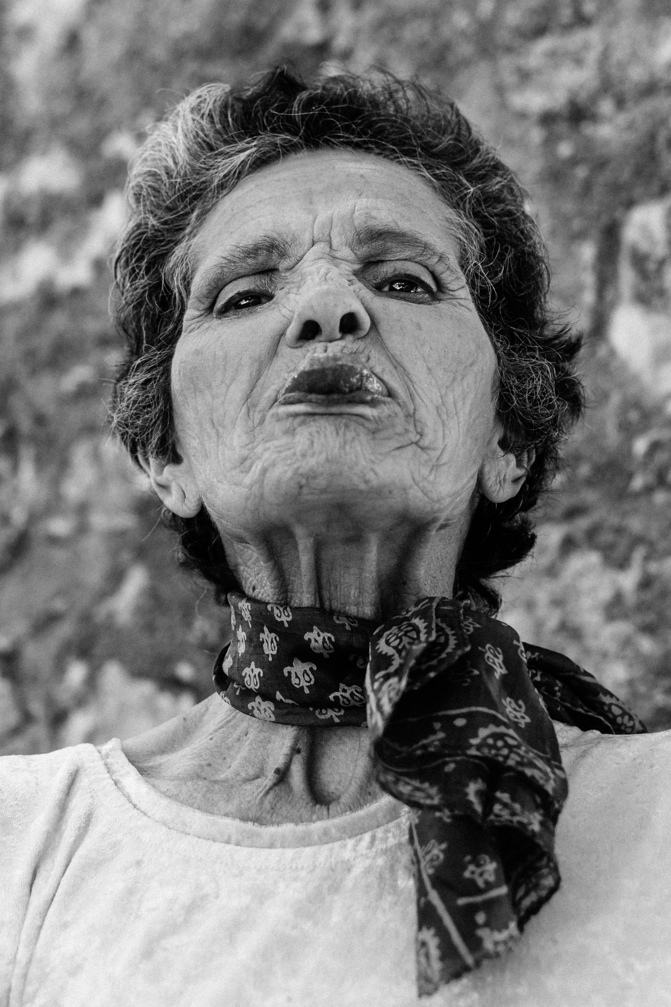 Maria José Fialho Bico.jpg