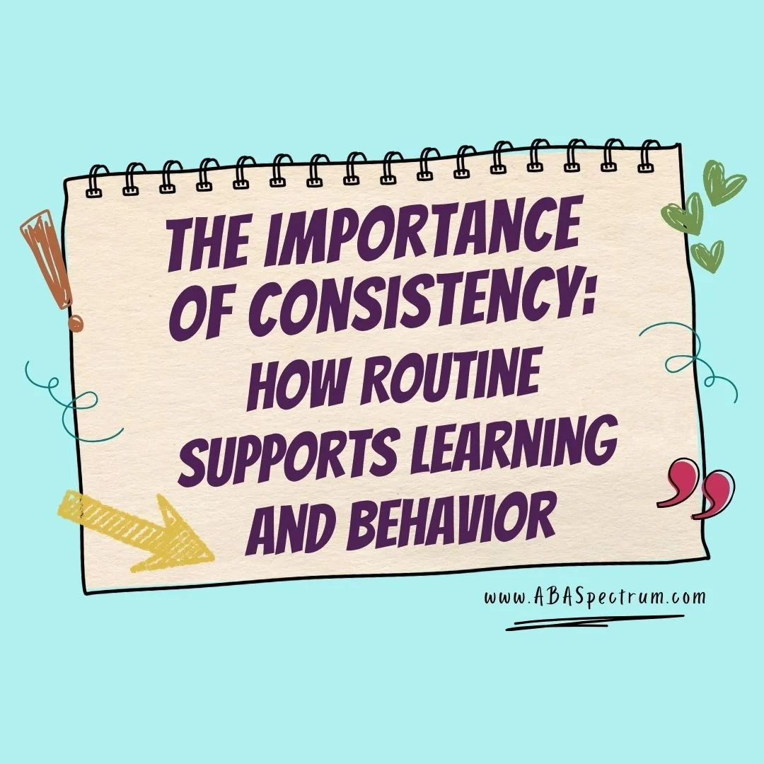 The Importance of Consistency: How Routine Supports Learning and Behavior