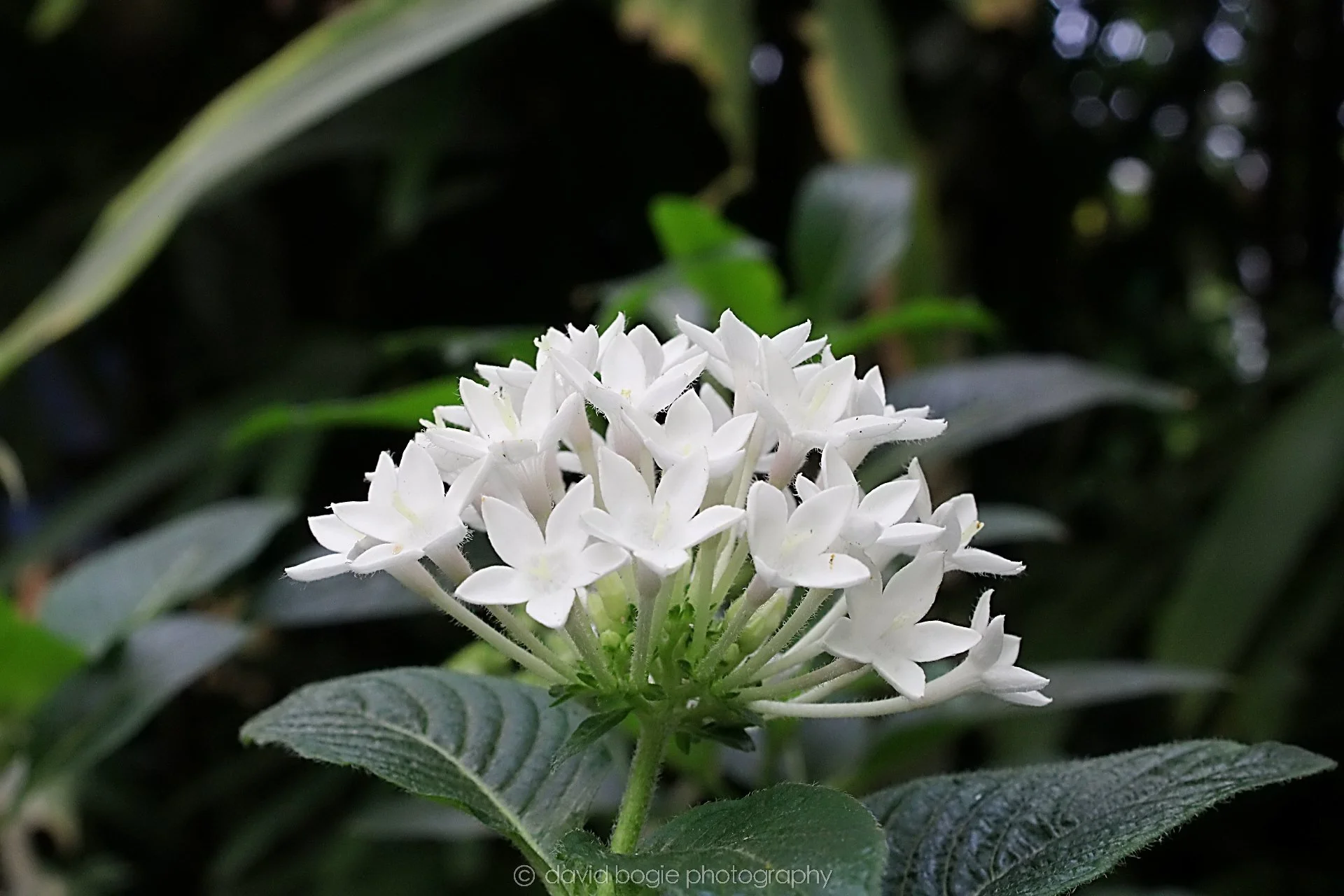 20191019 132413 Butterfly World 0047.jpg