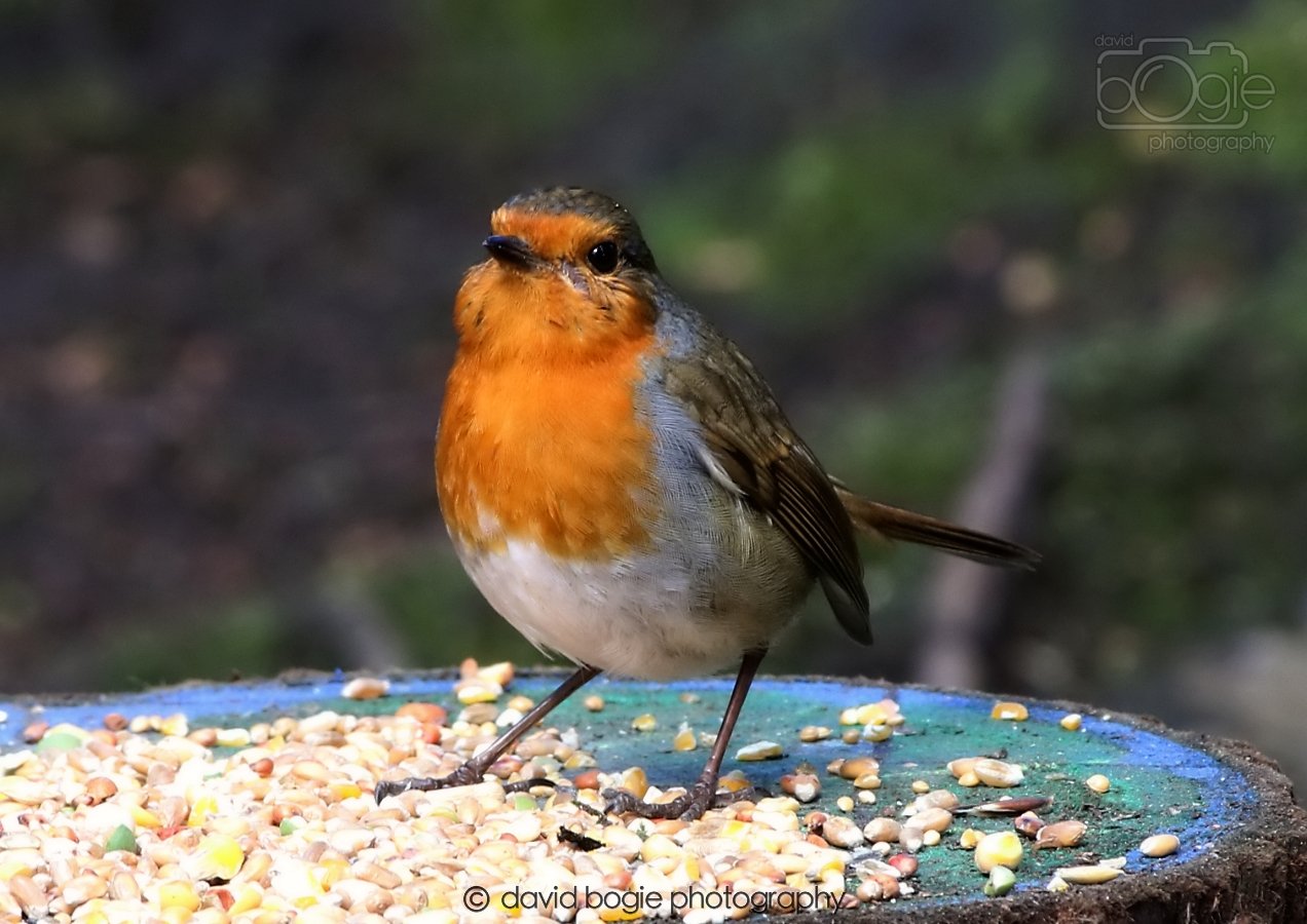 20260306 122001 Dunnikier 0635.jpg