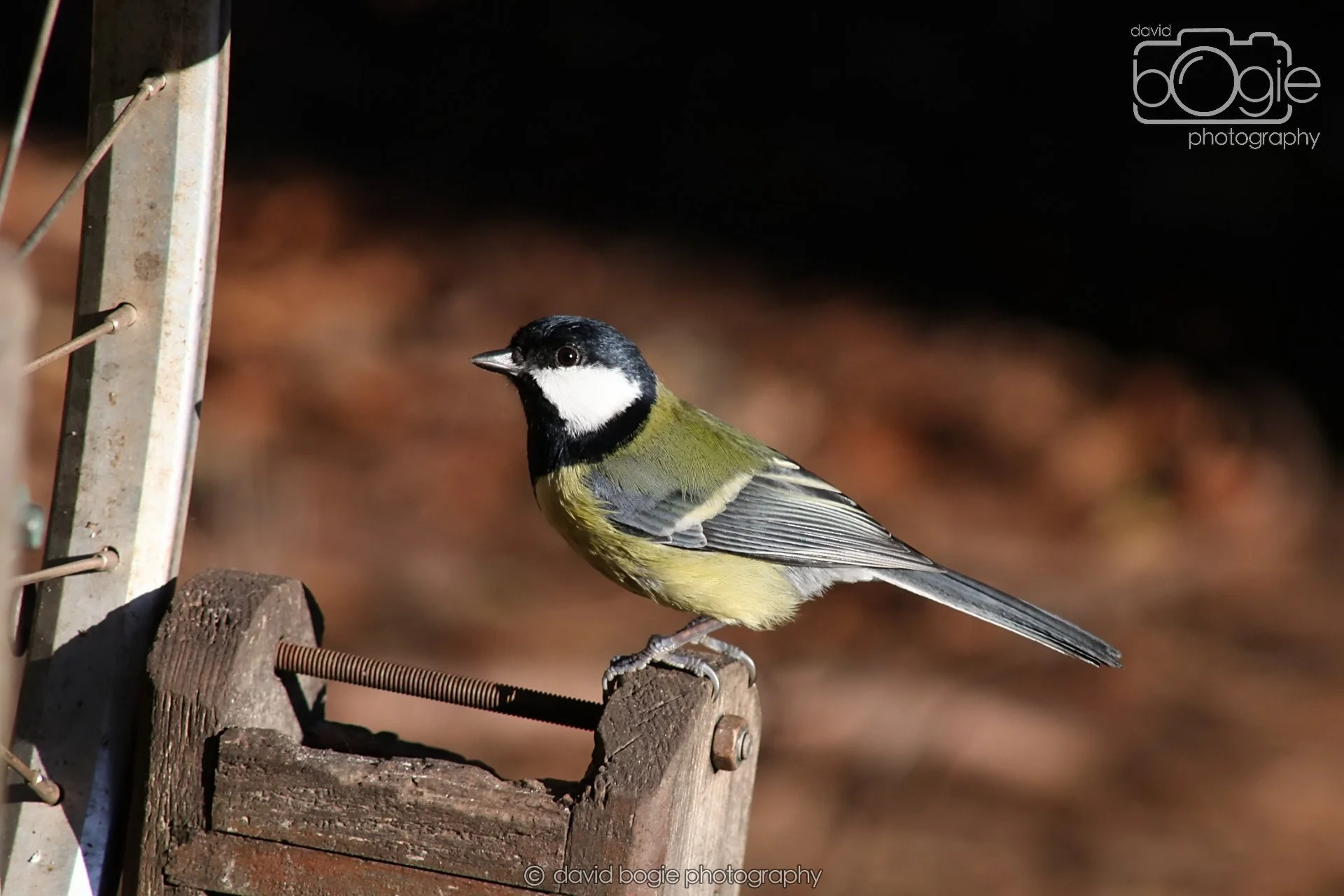 20251125 134943 Silverburn 0181.JPG