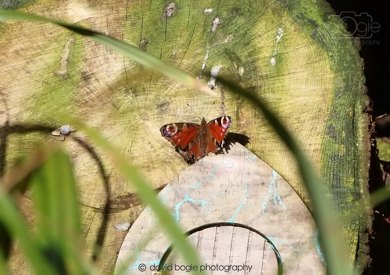 20260306 121208 Dunnikier 0542.jpg