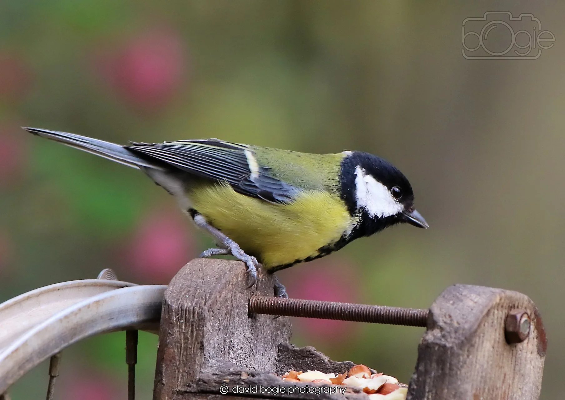 20260326 115352 Silverburn 0280.jpg