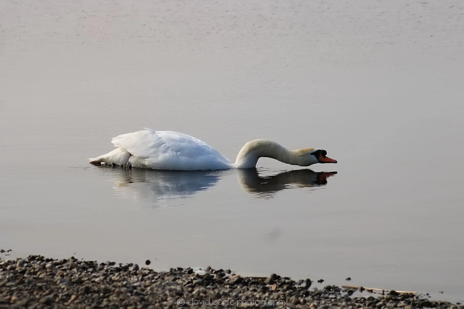 20190405 105237 Lochore 0025.jpg