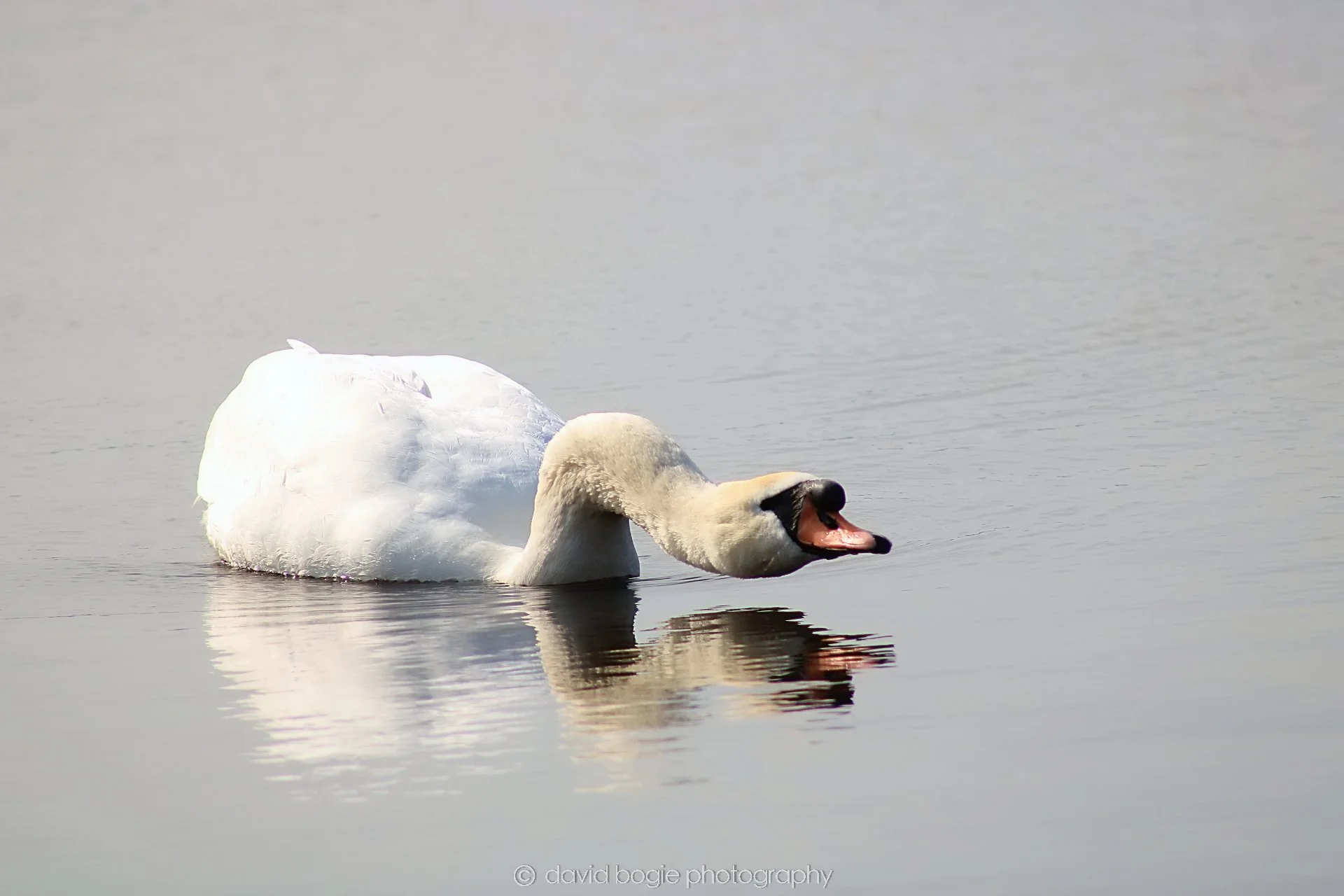 20190405 105223 Lochore 0024.jpg