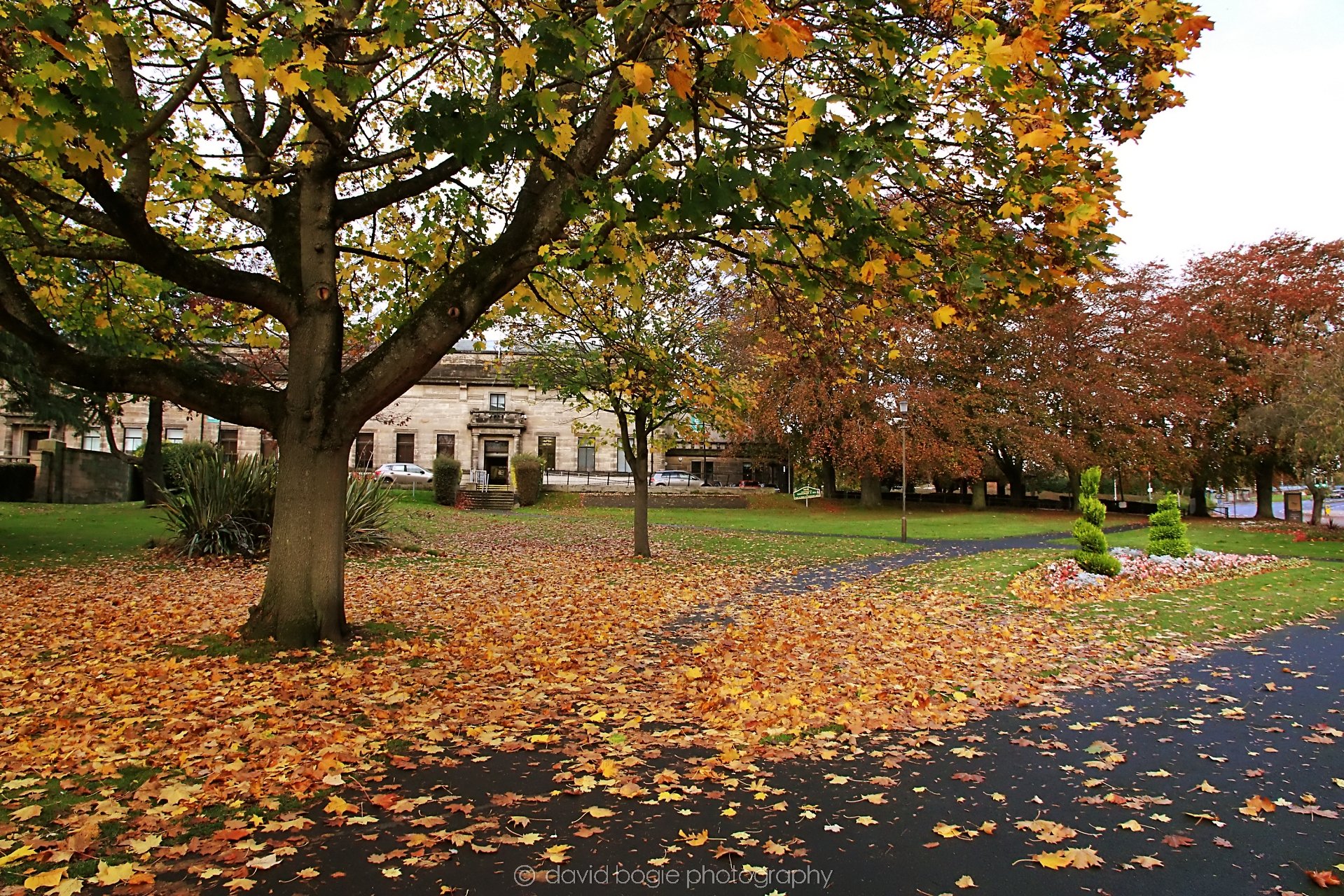 YEAR20221028 Kirkcaldy 1 .jpg