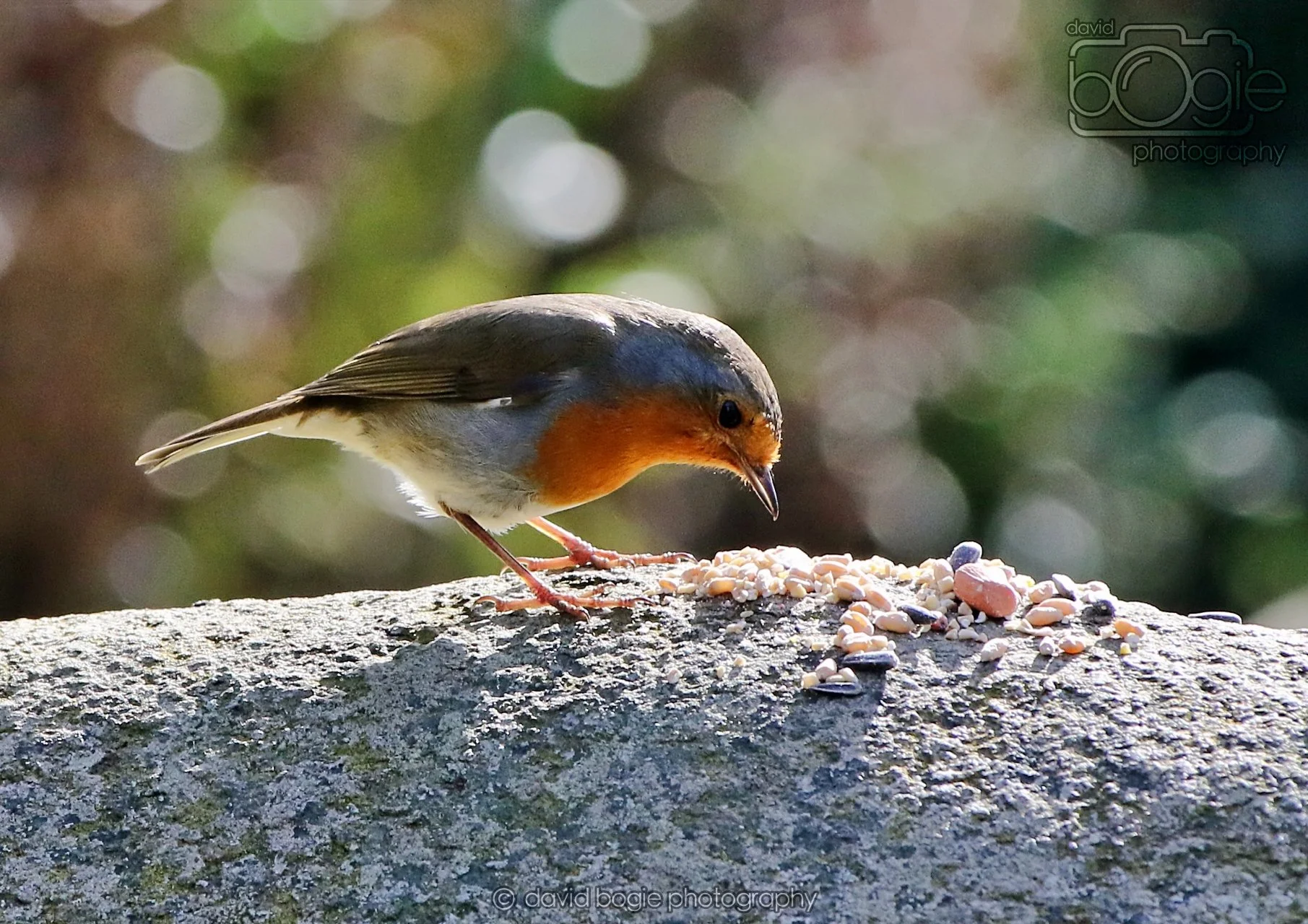 20260319 123543 Beveridge Park 0238.jpg