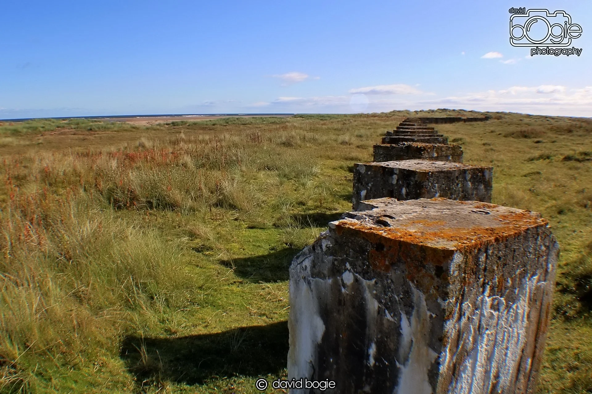 20191002 134211 Tentsmuir 0019.jpg