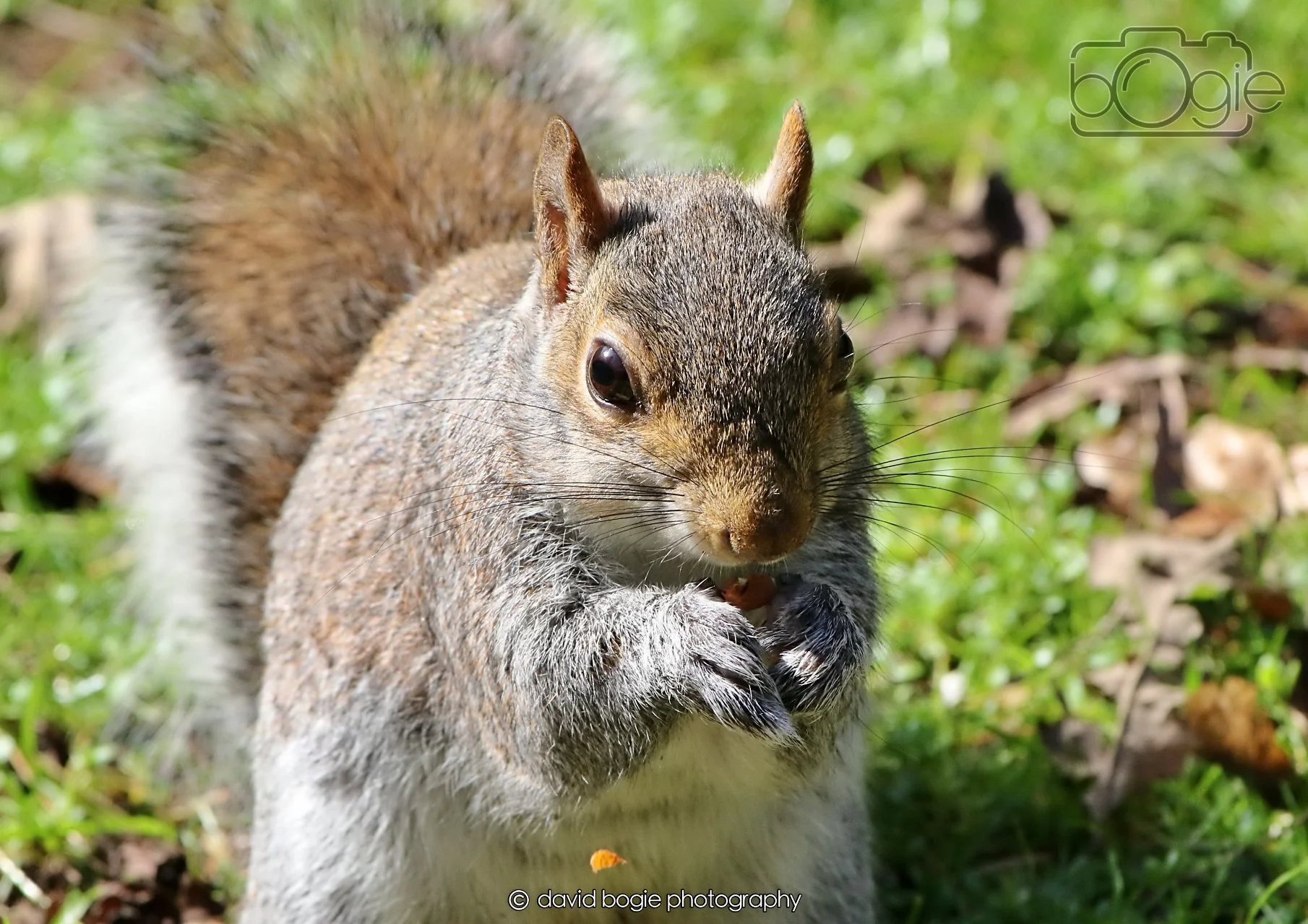 20260402 123619 Ravenscraig 0442.jpg