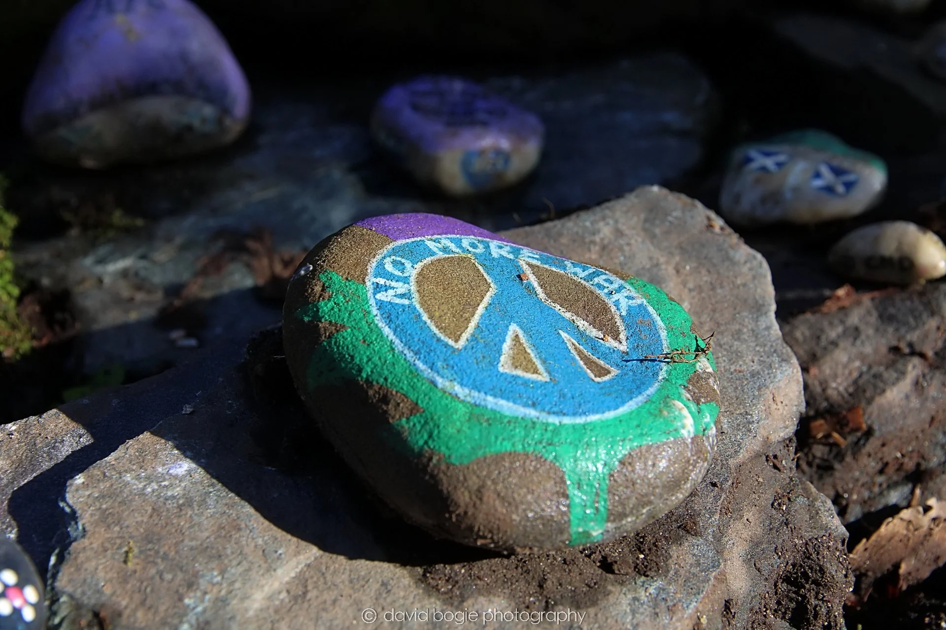 YEAR20230222 Peace Camp 00023.jpg