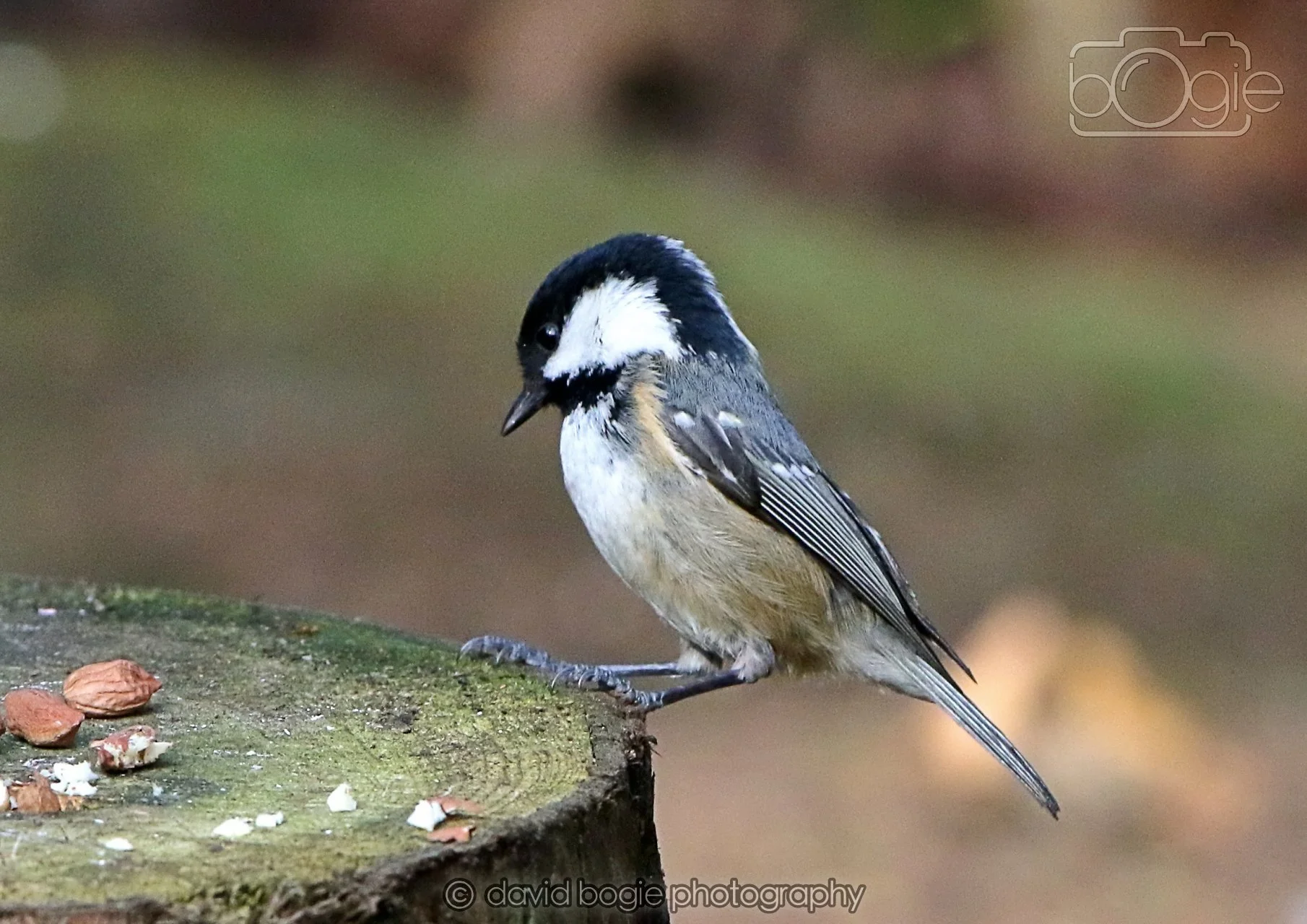 20260322 144309 Dunnikier 0095.jpg