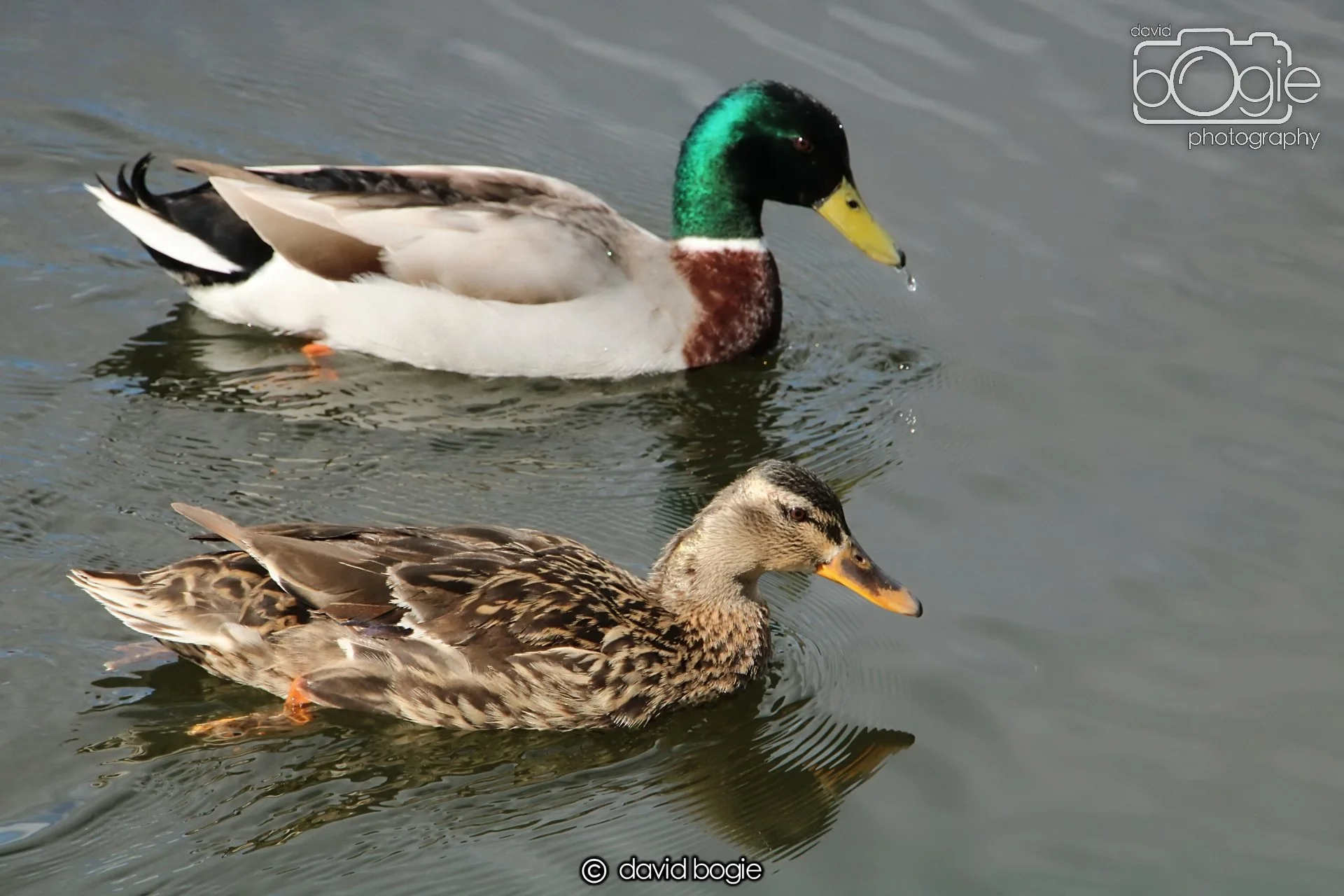 20240423 114341 Beveridge 0042.JPG