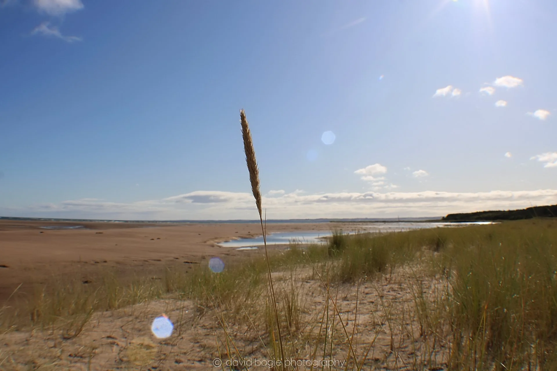 20191002 132631 Tentsmuir 0017.jpg