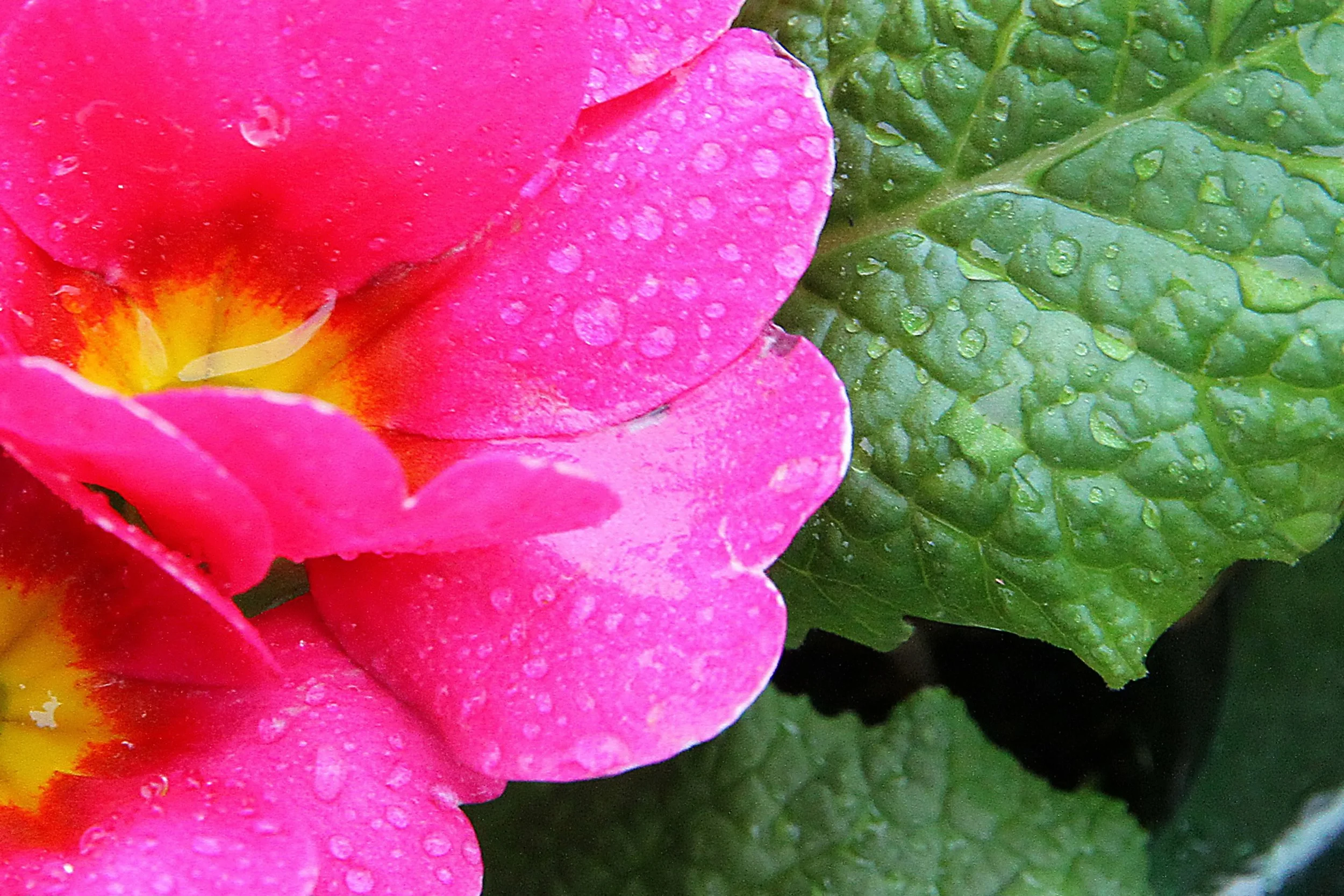 20260403 132451 Dunnikier Sensory Garden 0100.jpg